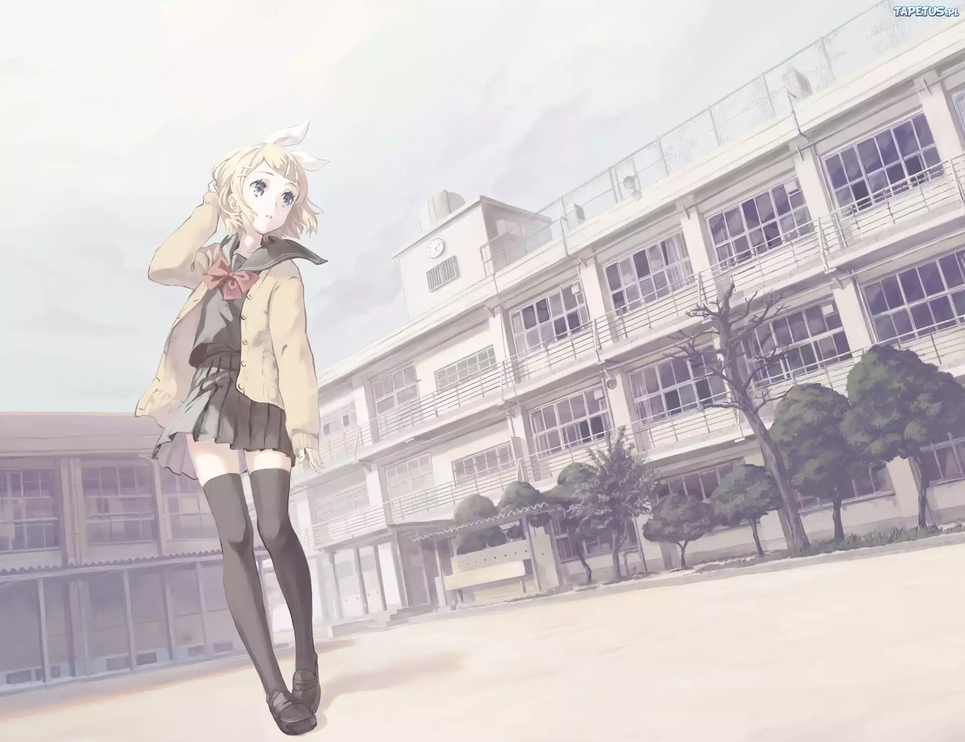 Vocaloid, Kagamine Rin