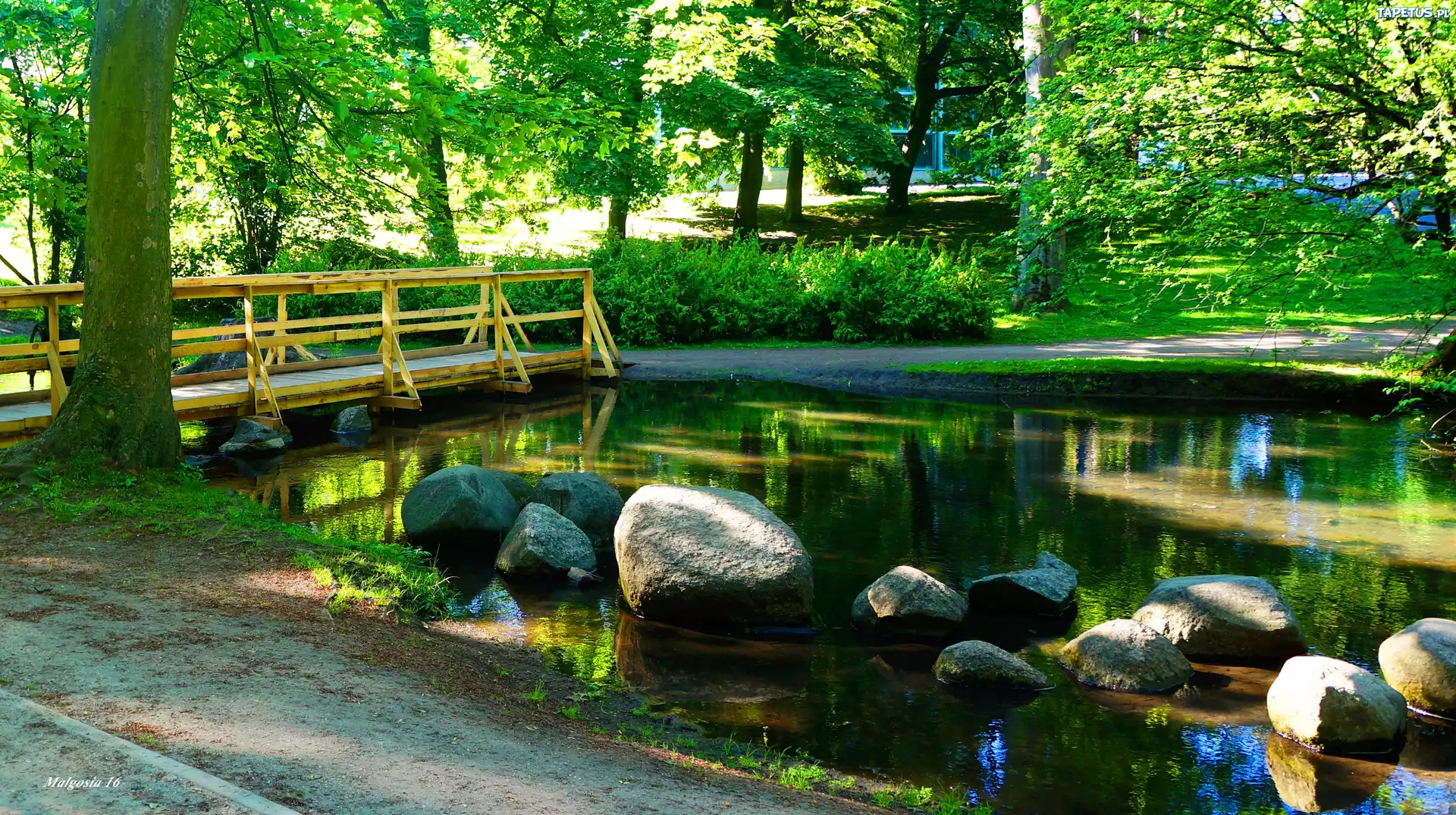 Park, Staw, Woda, Mostek, Kamienie, Drzewa, Zieleń