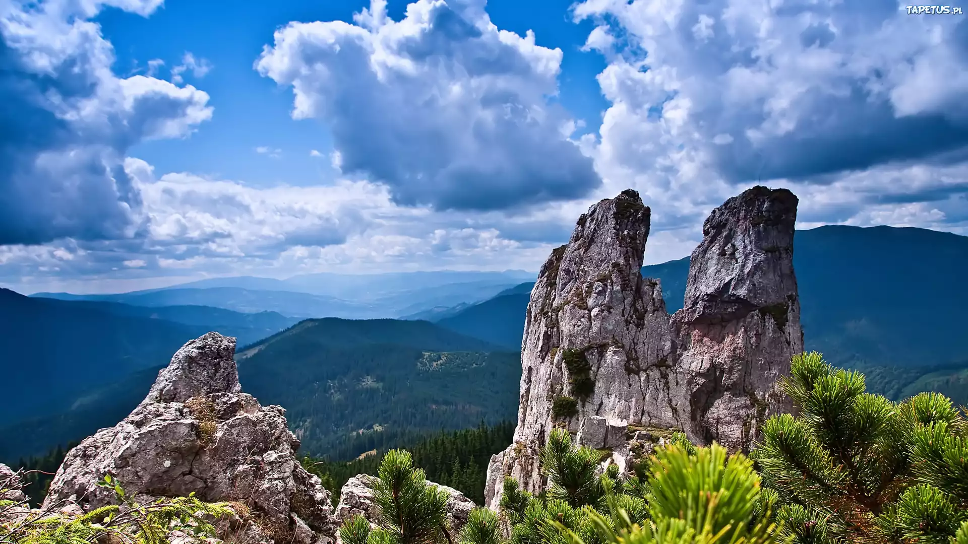 природа скалы горы деревья nature rock mountains trees скачать