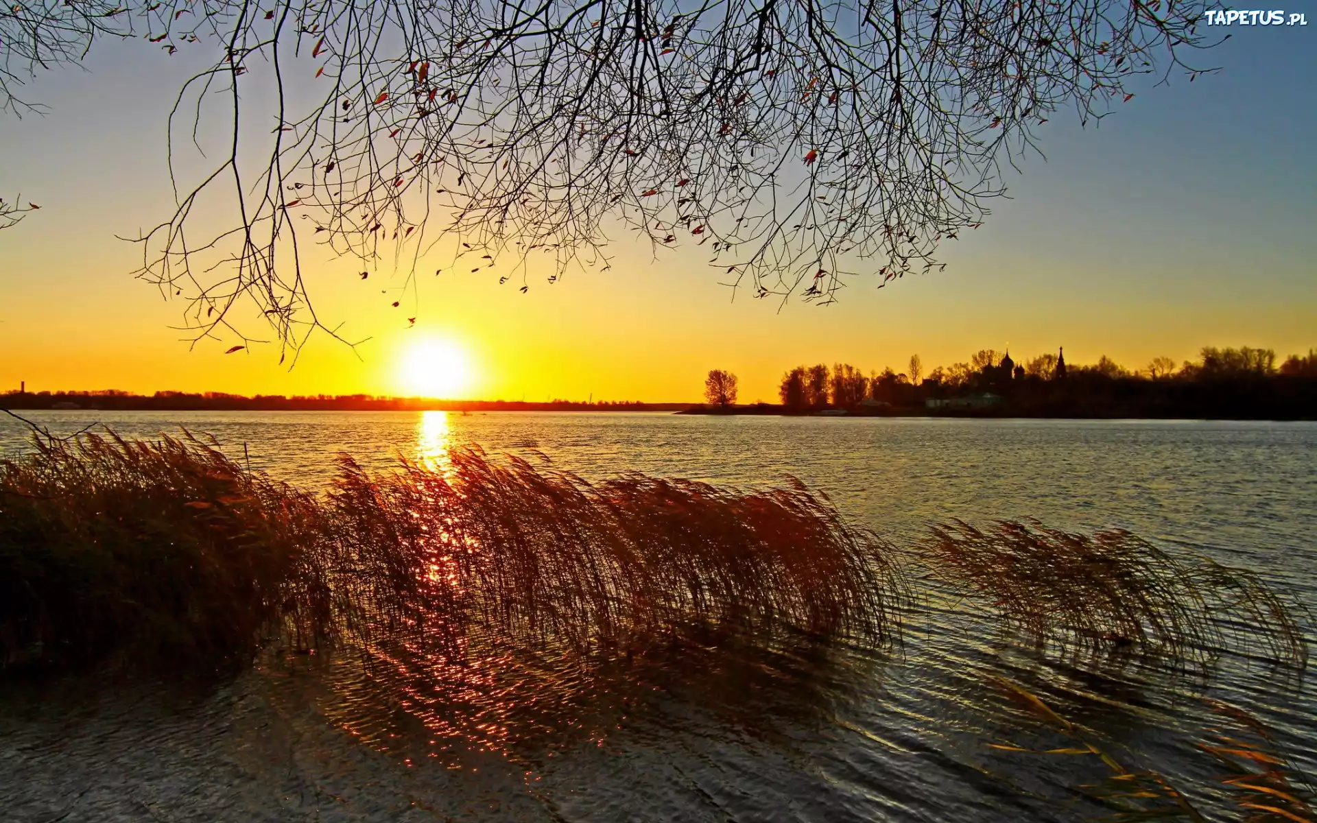 Jezioro, Trzciny, Drzewa, Wschód, Słońca