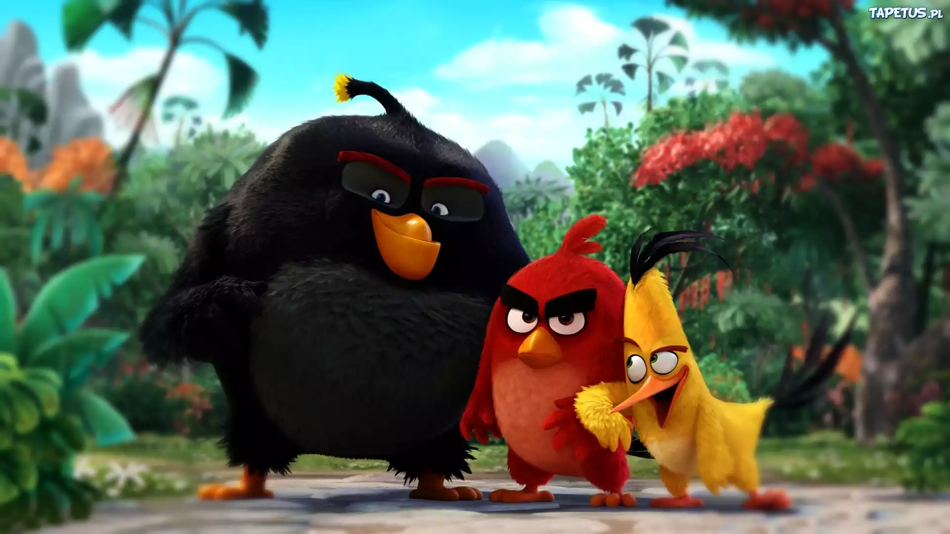 Angry Birds, Film
