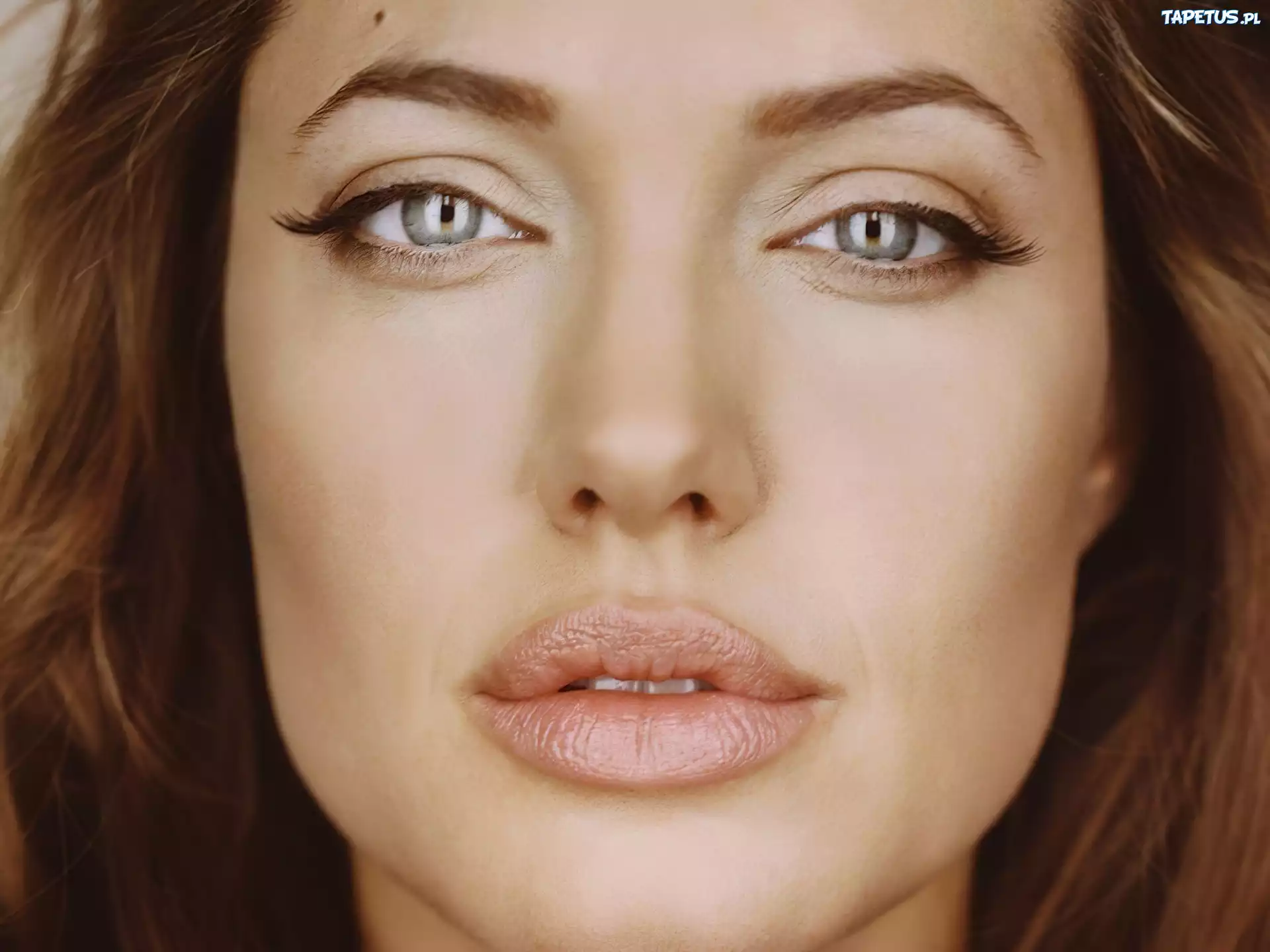 Angelina Jolie, twarz
