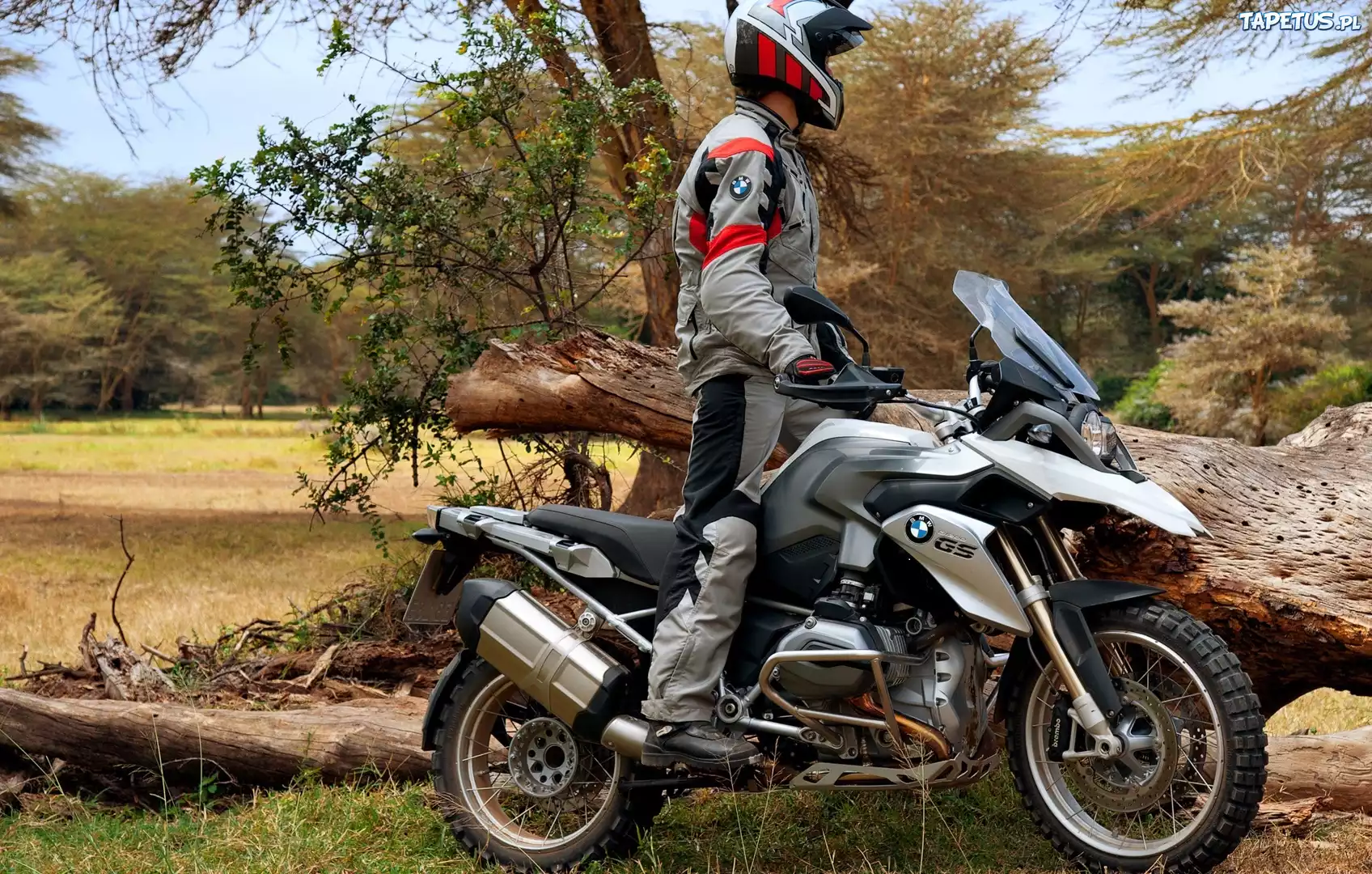 Motocykl, BMW R1200GS, Motocyklista, Drzewa