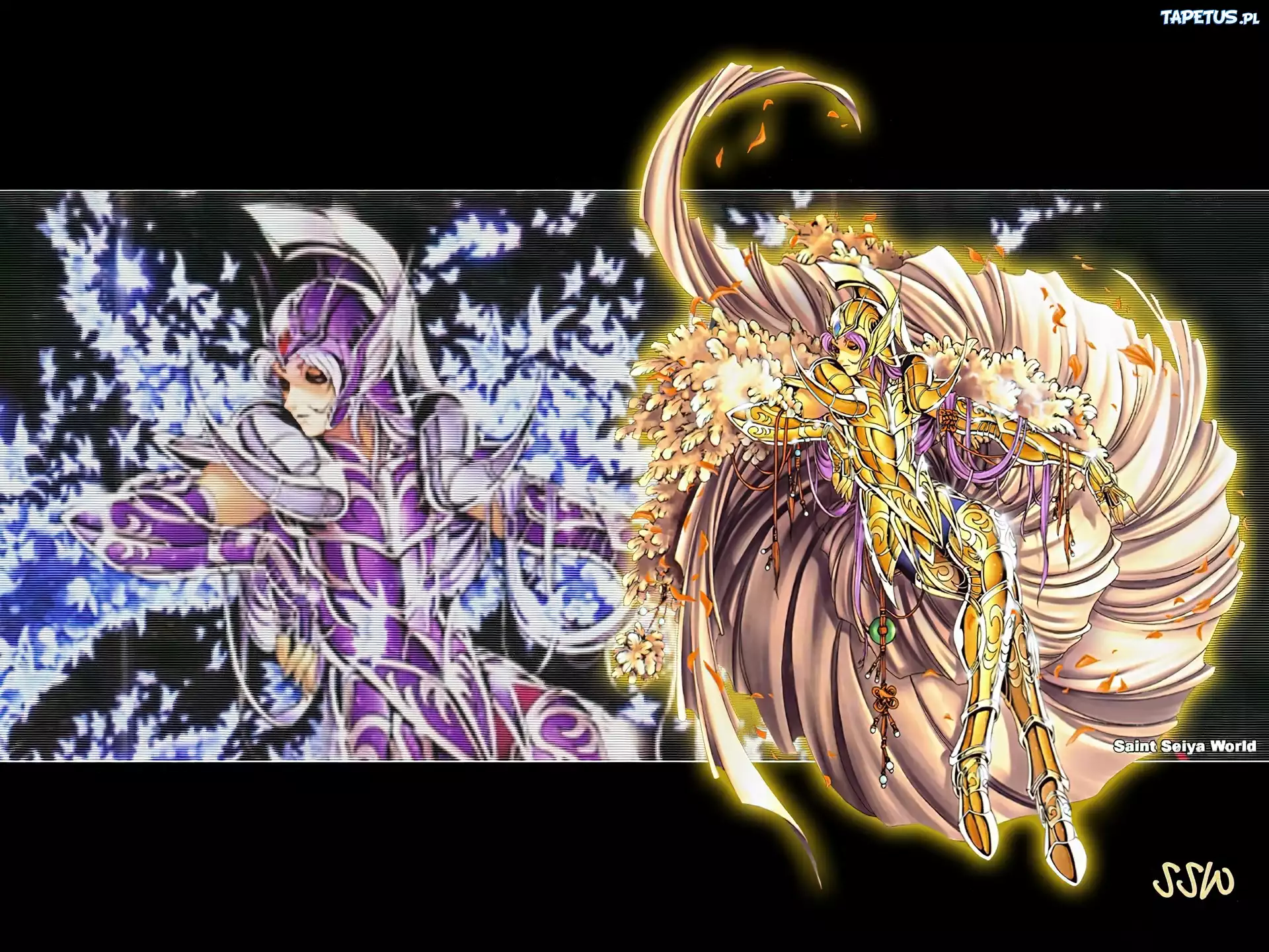Saint Seiya, kobieta, wojownik, zbroja