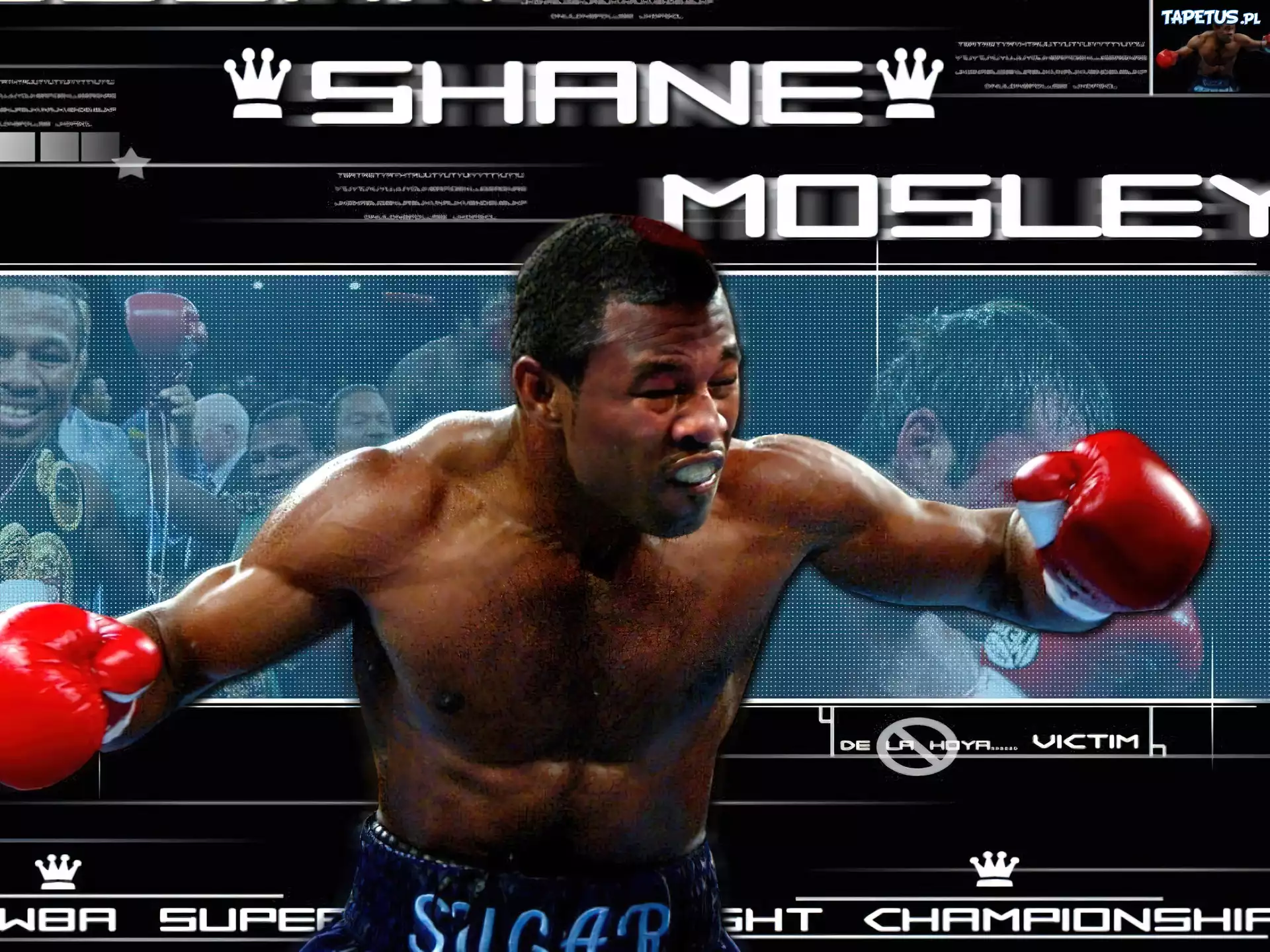 Boks,Shane Mosley
