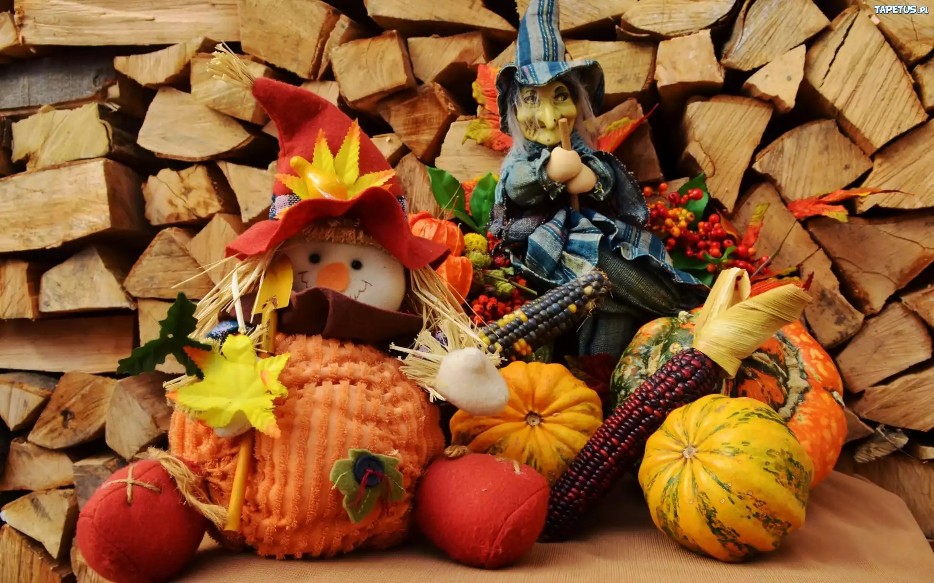 Ludzik, Czarownica, Dynie, Ozdoby, Halloween