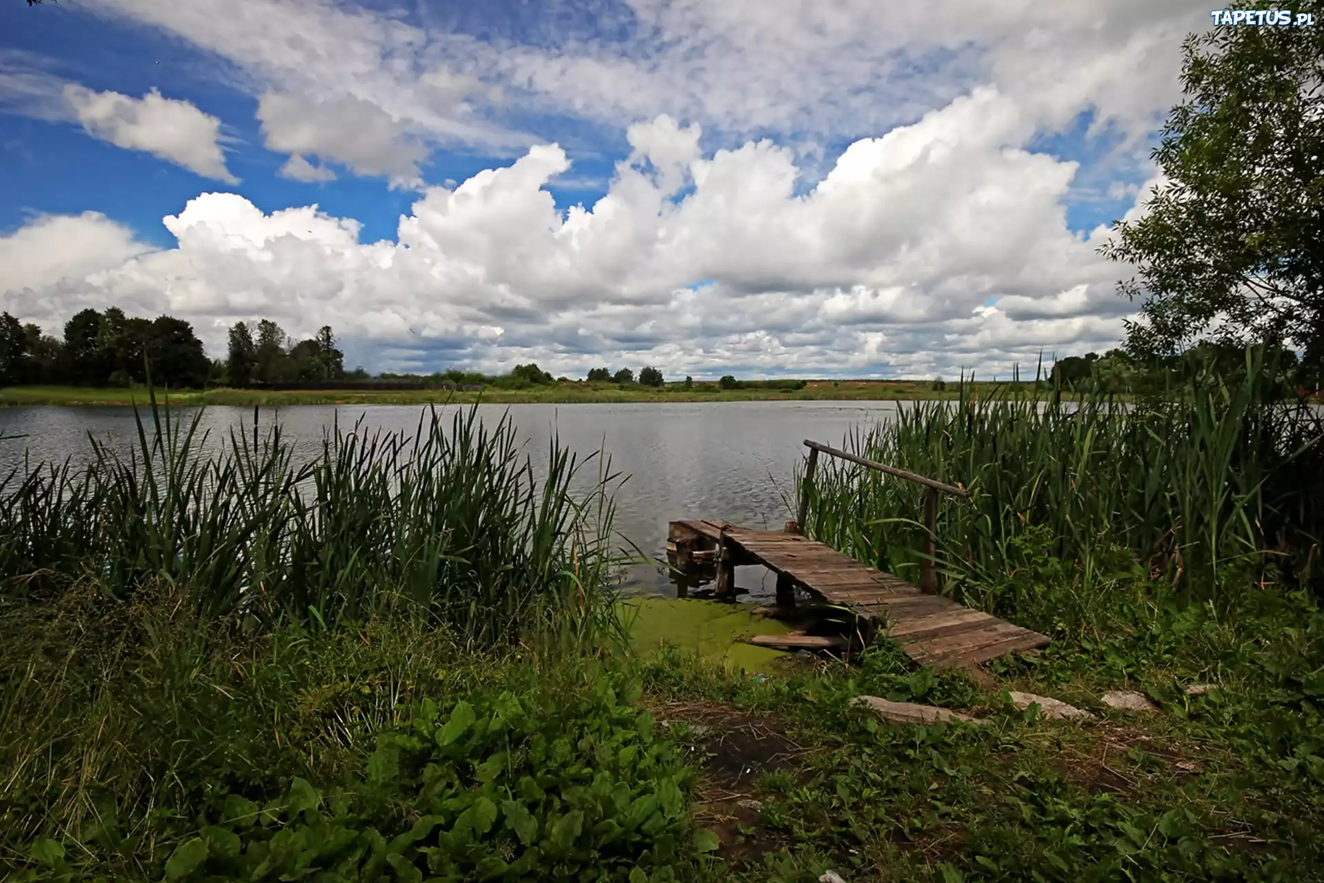 Jezioro, Trzcina, Pomost