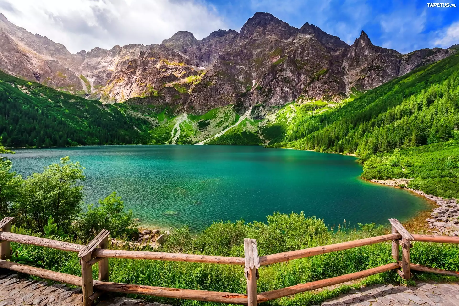 Jezioro, Góry, Lasy, Ogrodzenie