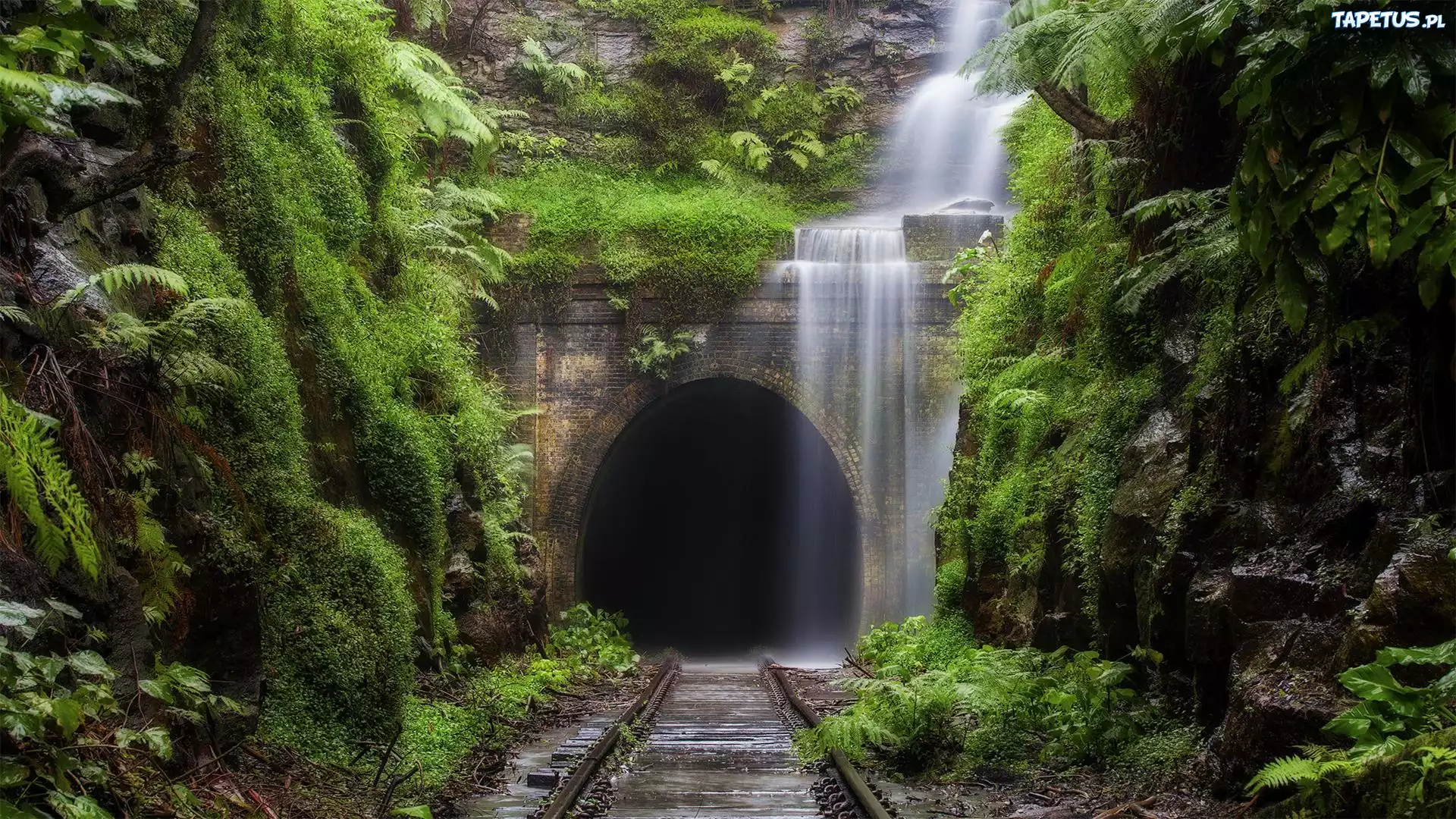 Tory, Tunel, Zieleń