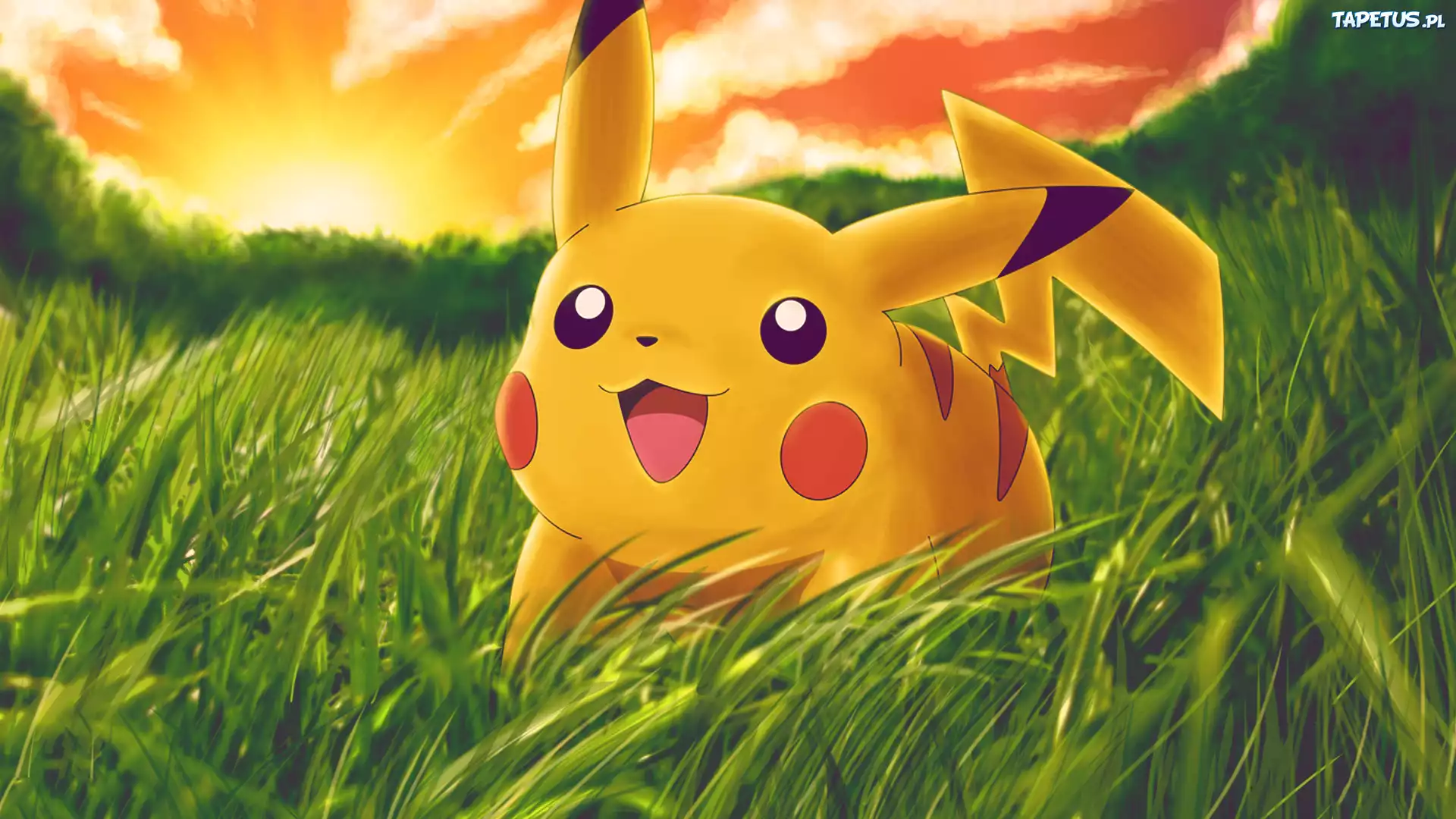 Pokemon, Pikaczu, Trawa
