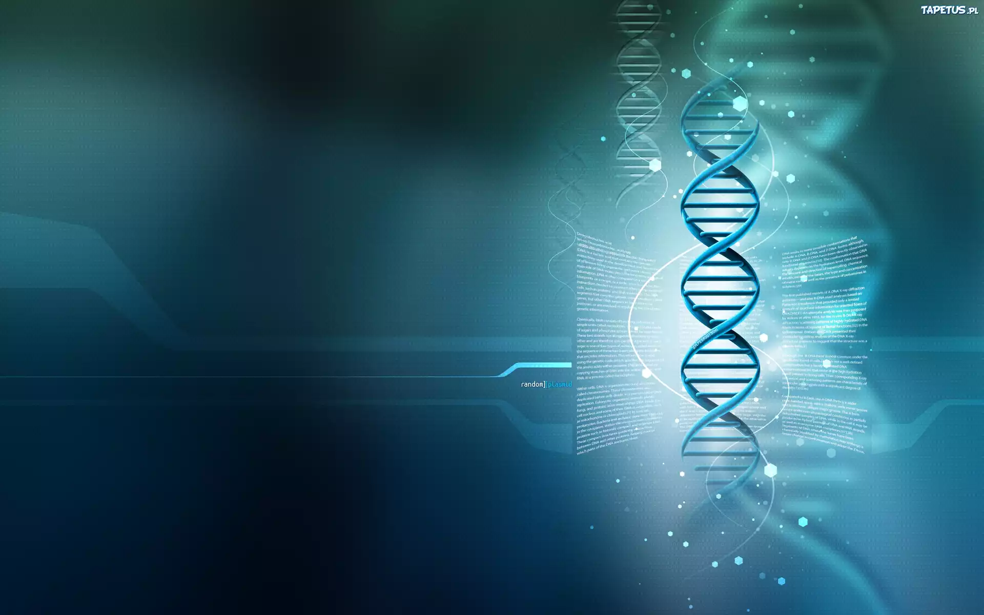 Łańcuch, DNA, 3D