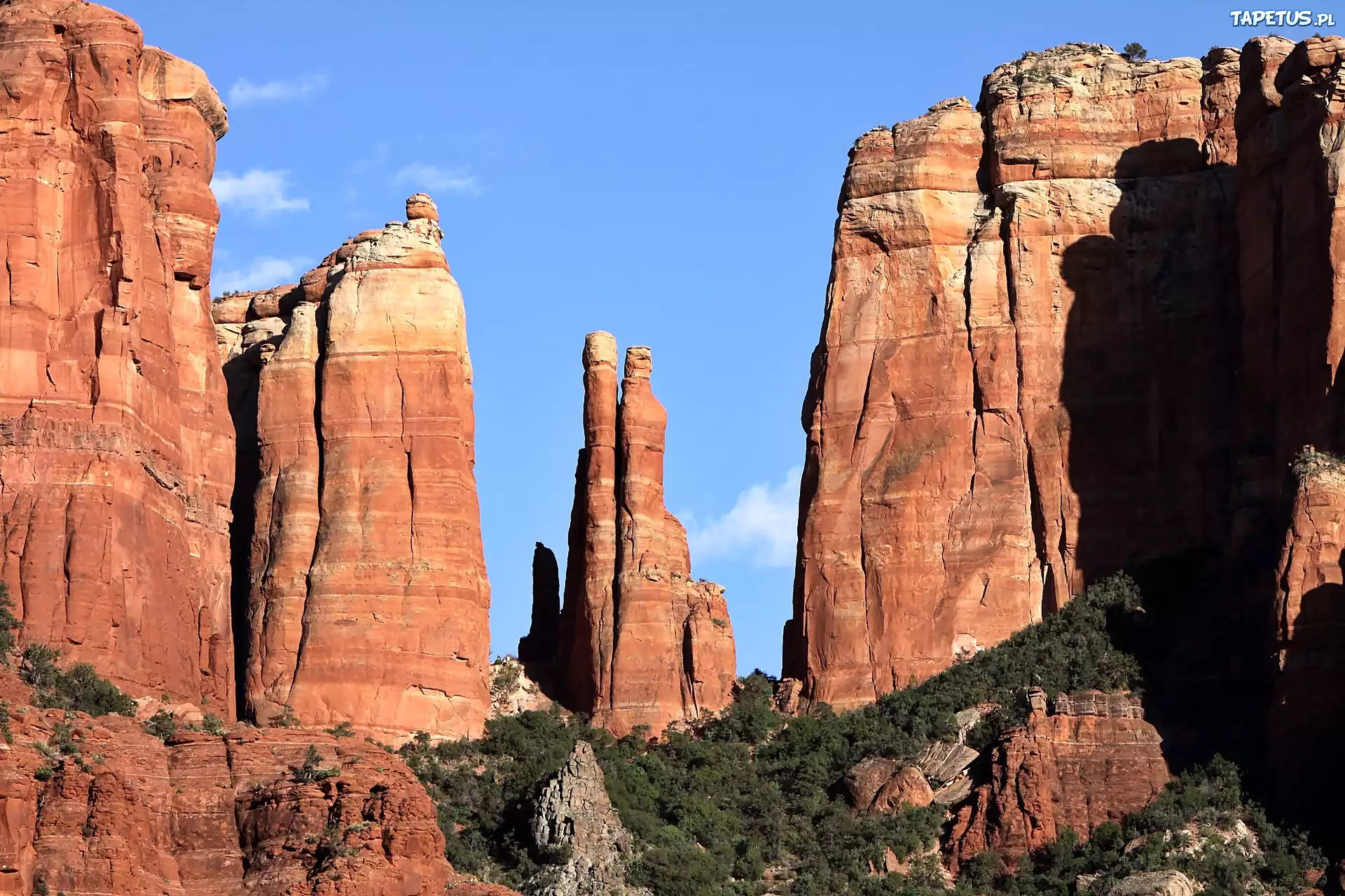 Skały, Kanion, Zarośla, Sedona, Arizona