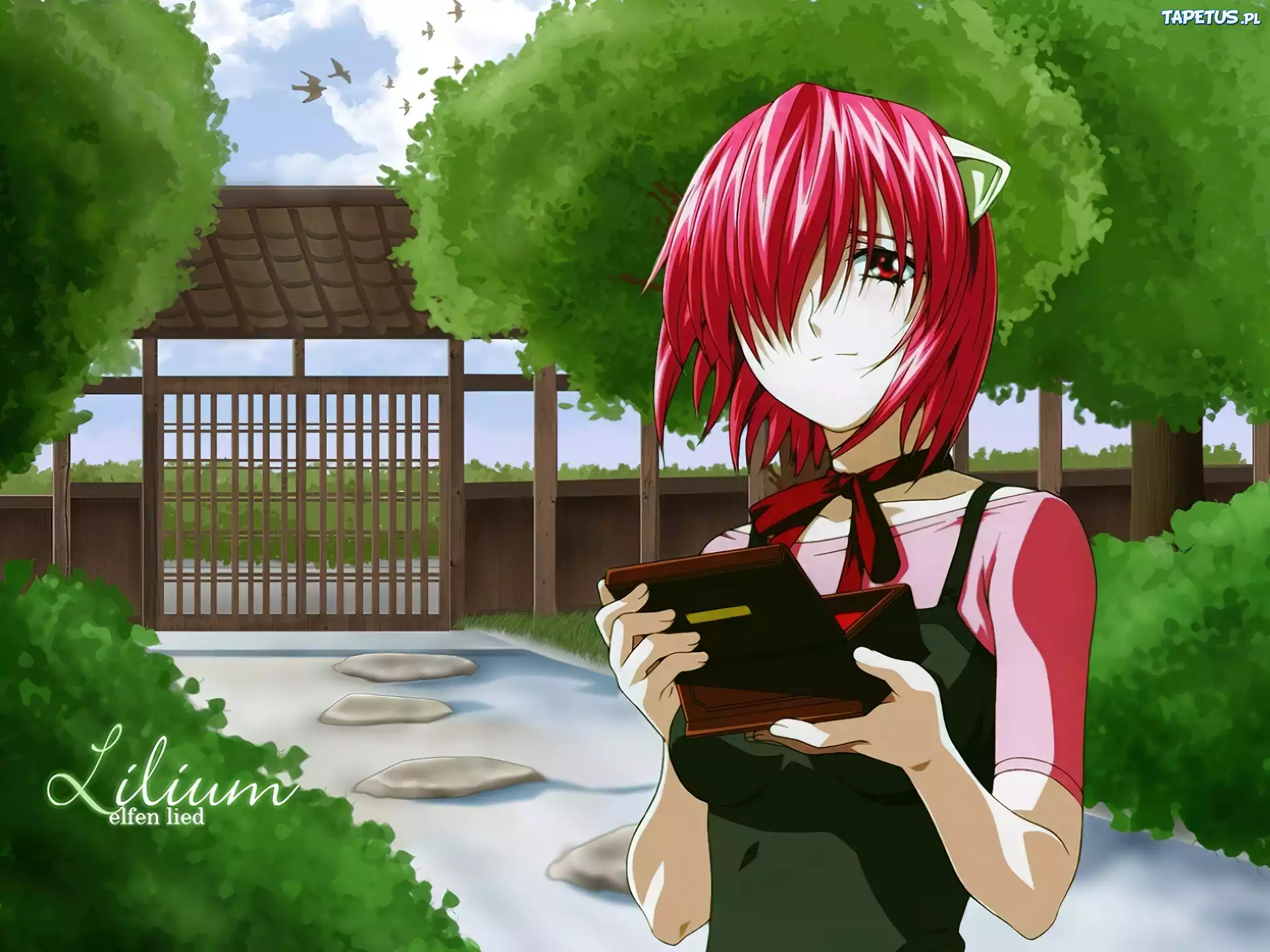 Elfen Lied, pudełko, brama, ptaki, kobieta