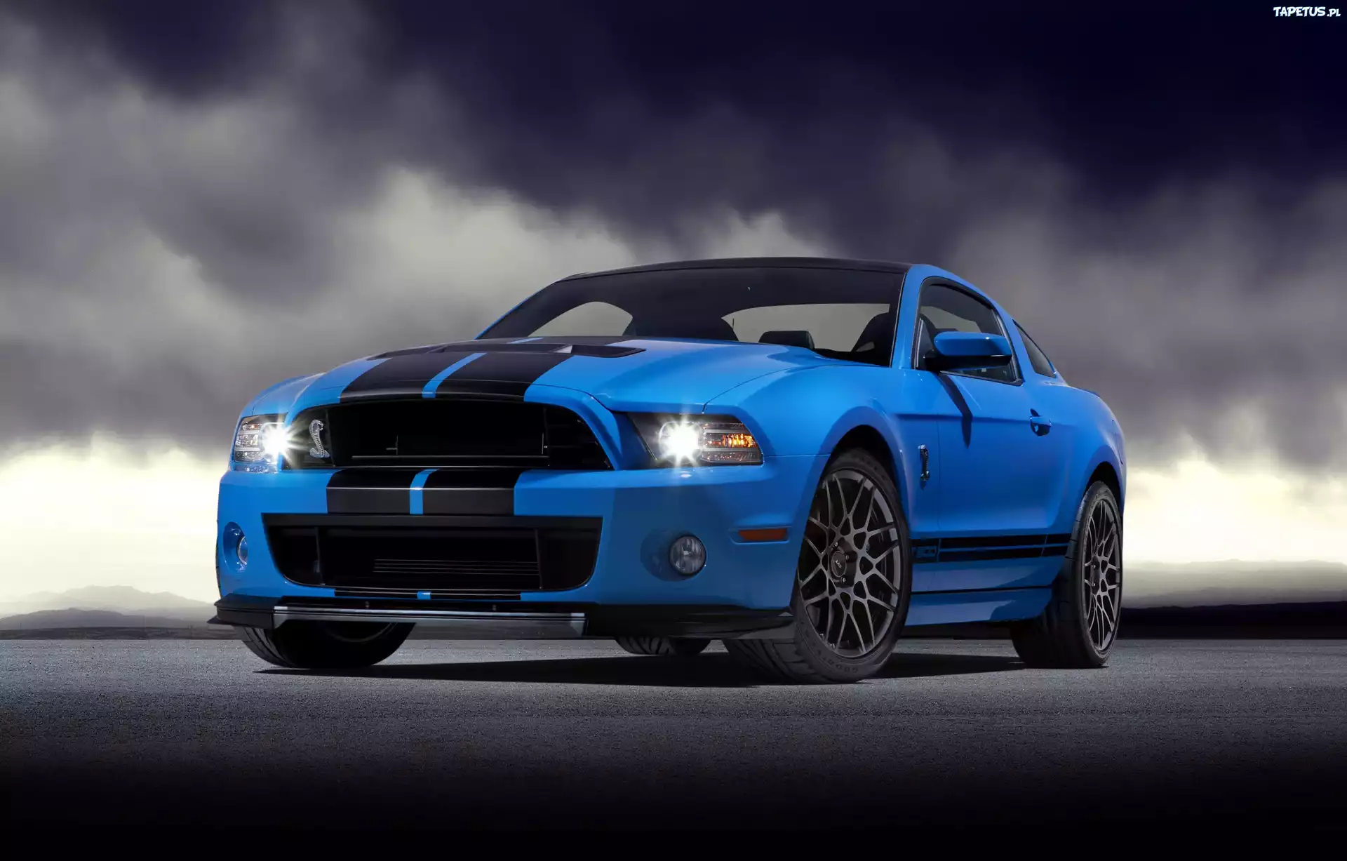 Ford Shelby, GT500