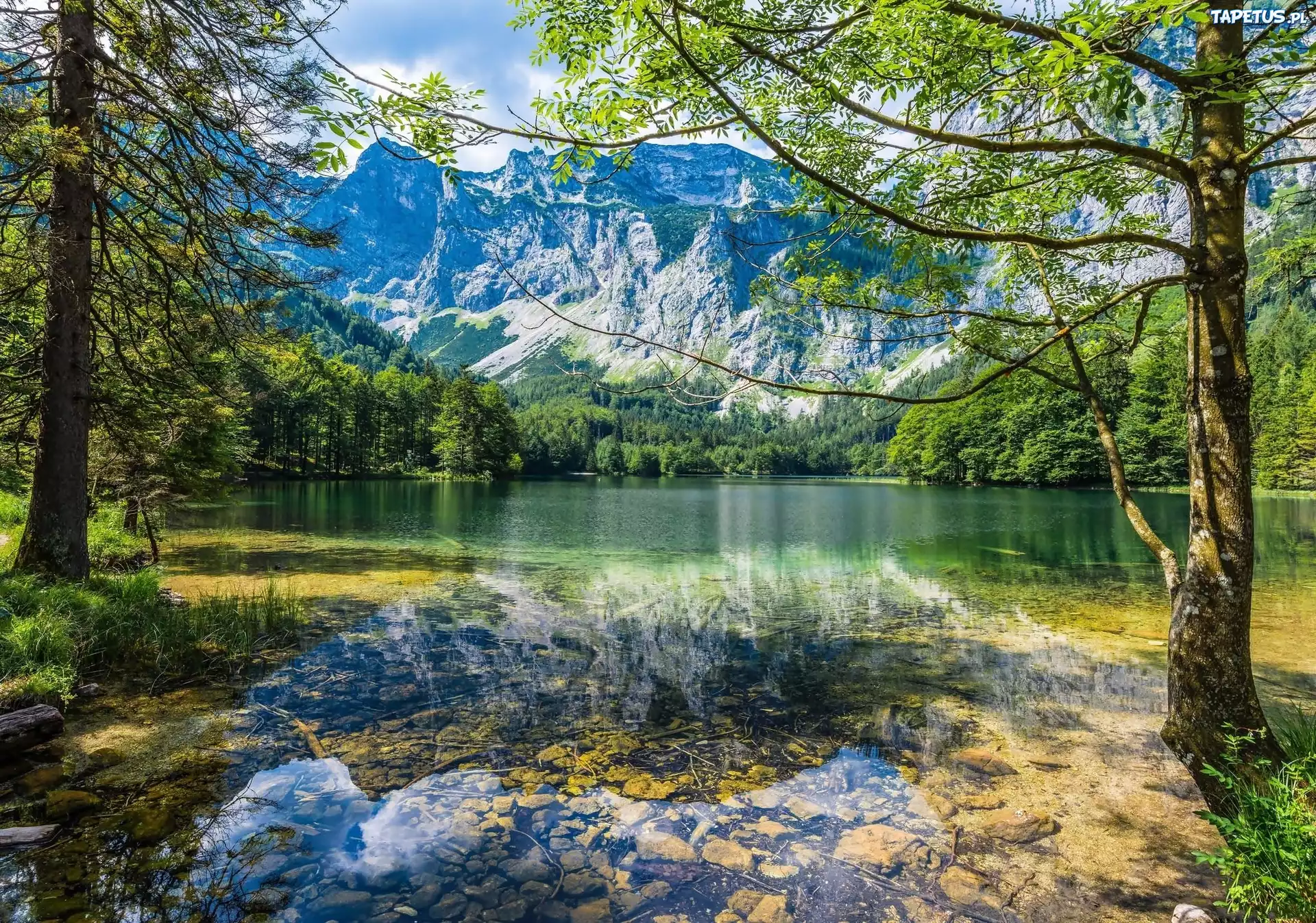 Rzeka, Lasy, Góry, Wiosna