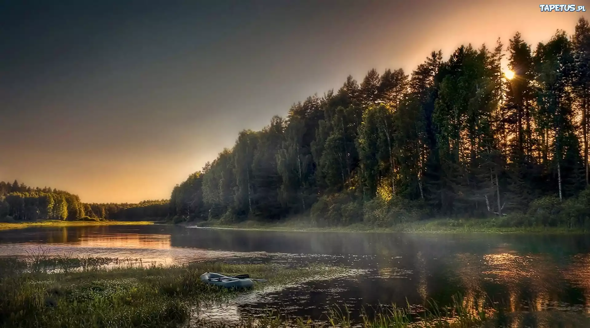 Rzeka, Las, Przebijające, Światło, Mgła