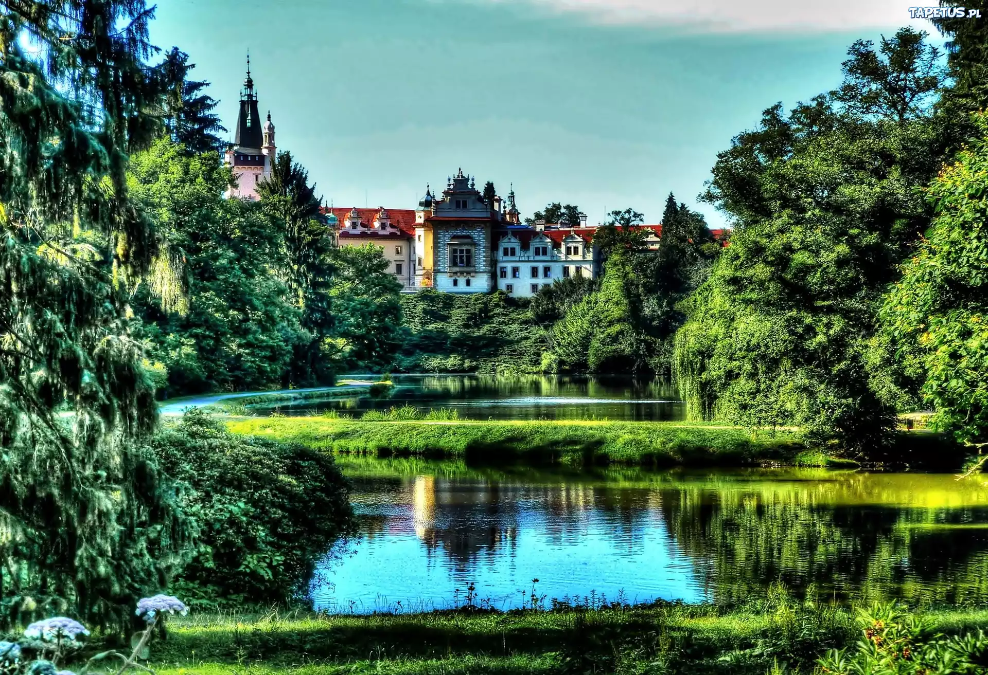 Zamek, Lato, Park, Staw, Przebijające, Światło, Pruhonice