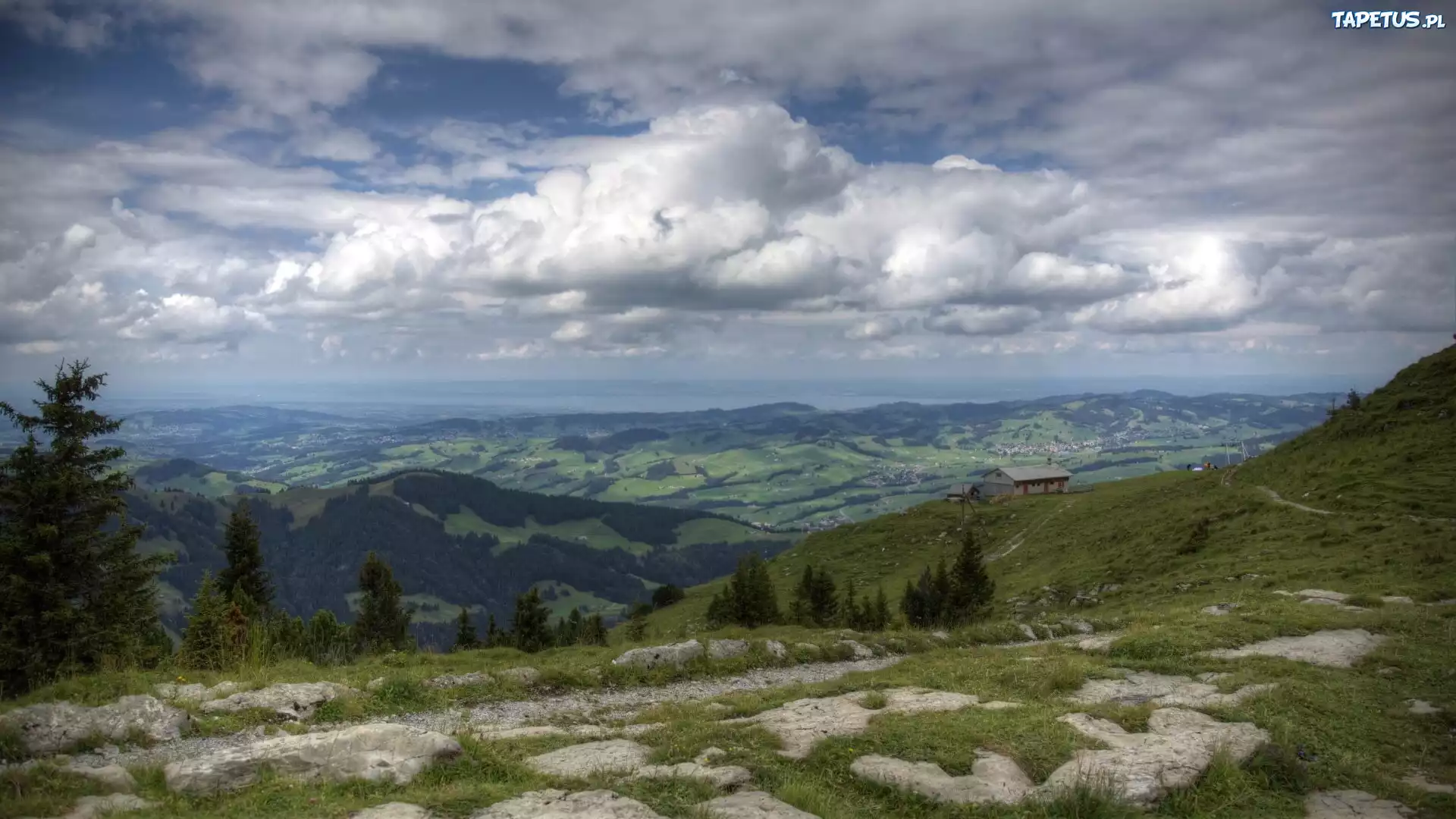 Góry, Chmury, Drzewa