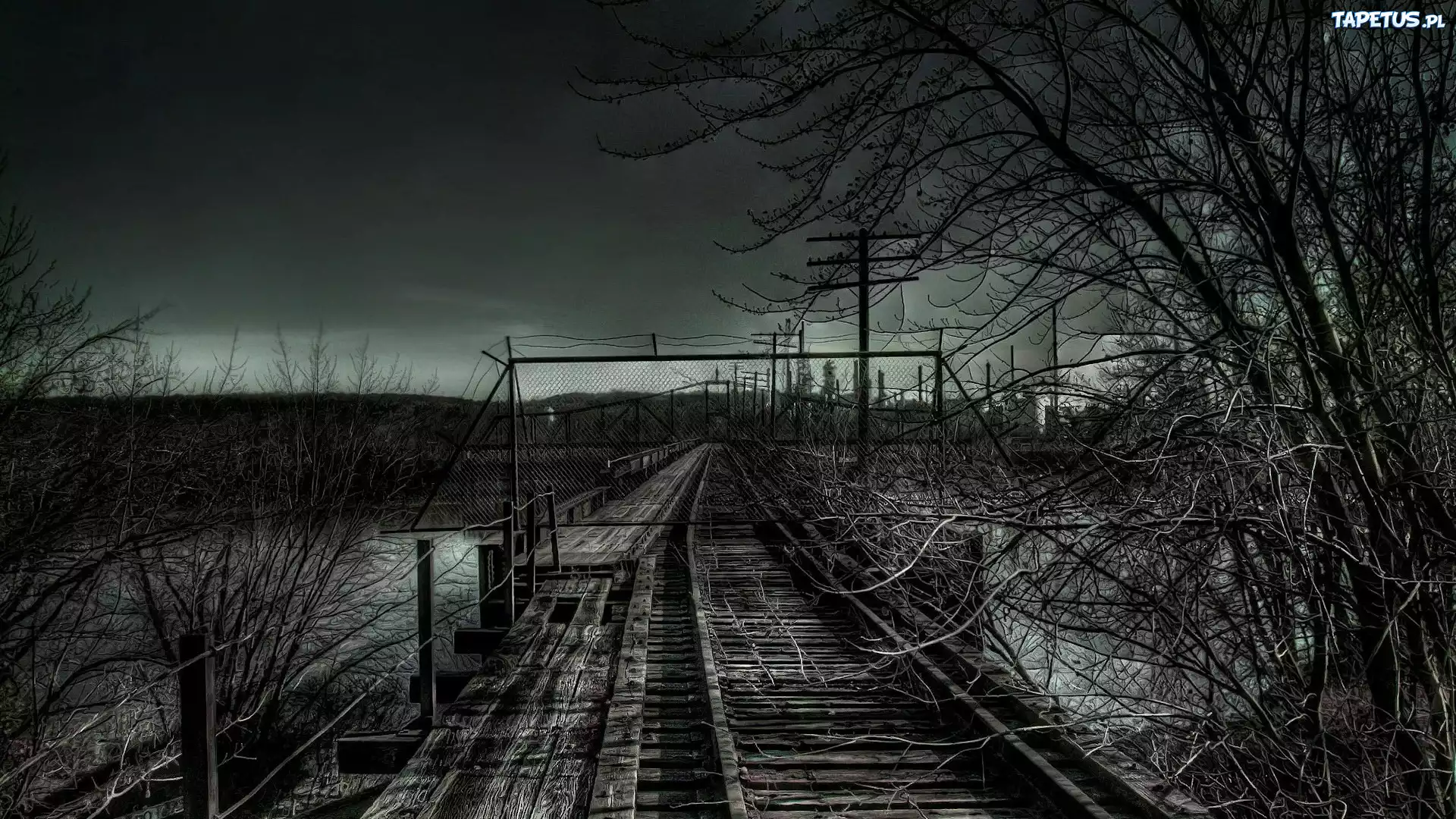 Tory, Drzewa, HDR