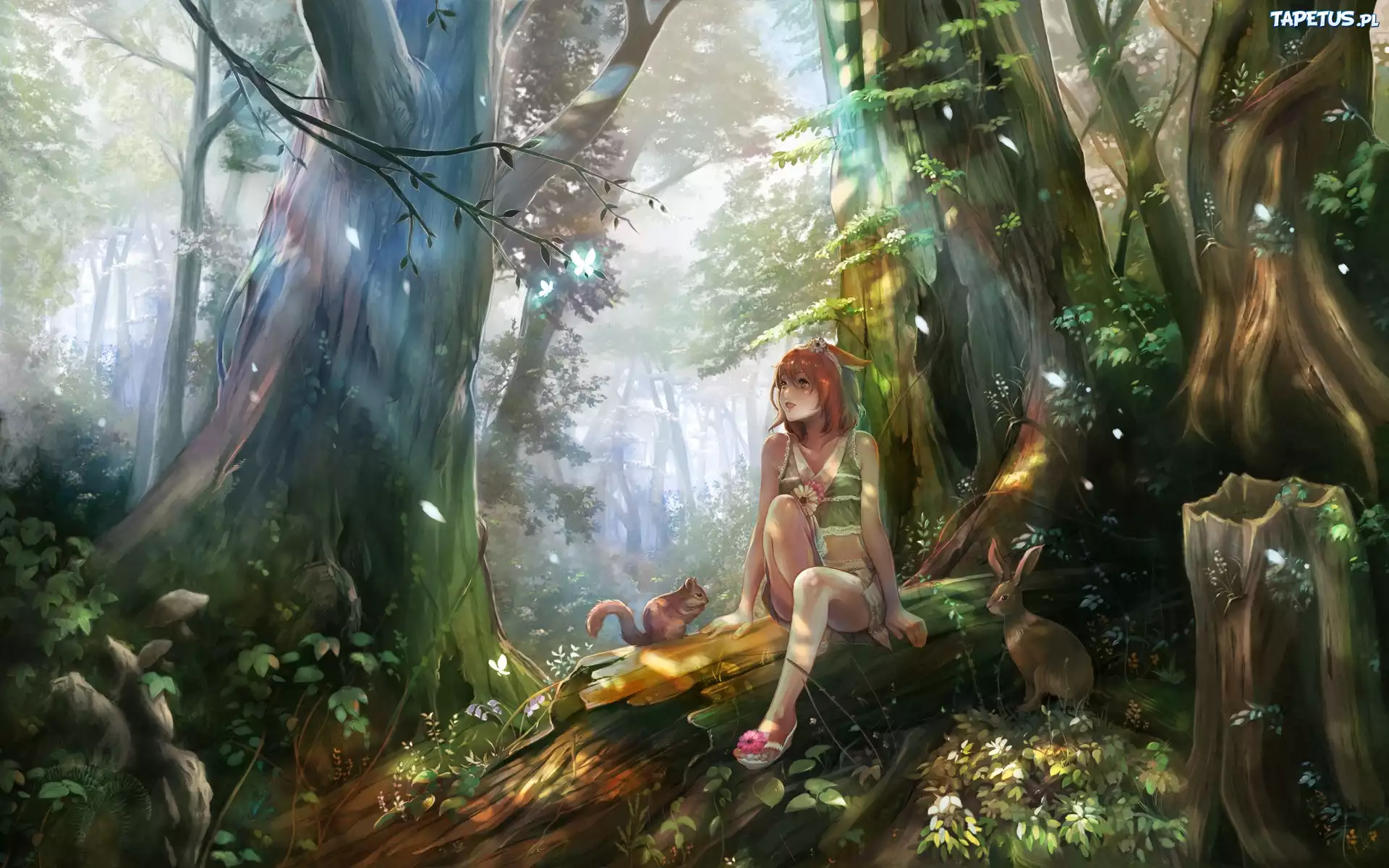Dziewczyna, Las, Zwierzęta, Anime