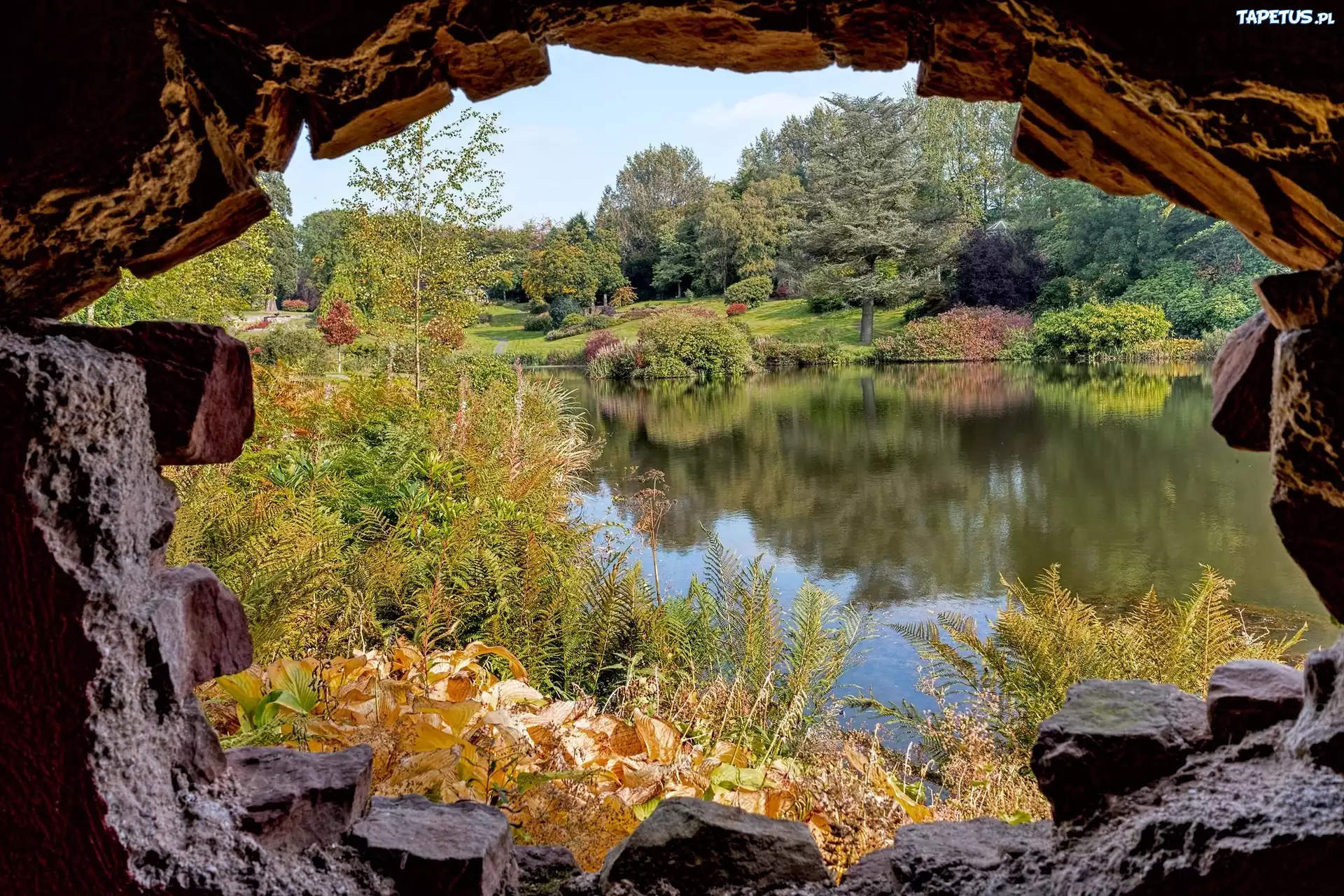 Park, Krzewy, Rzeka, Mur