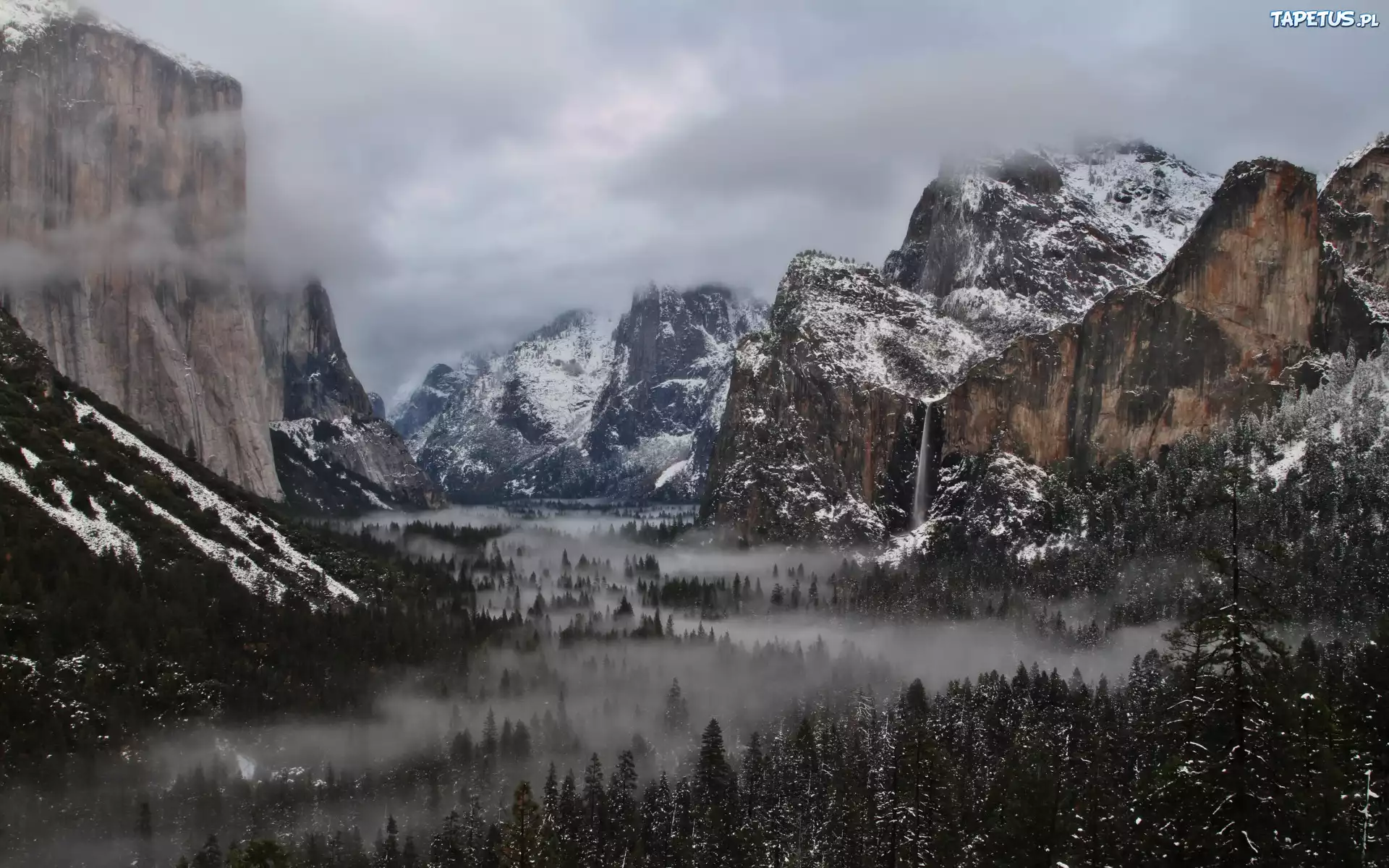 Park Narodowy, Yosemite, Góry, Lasy, Mgła