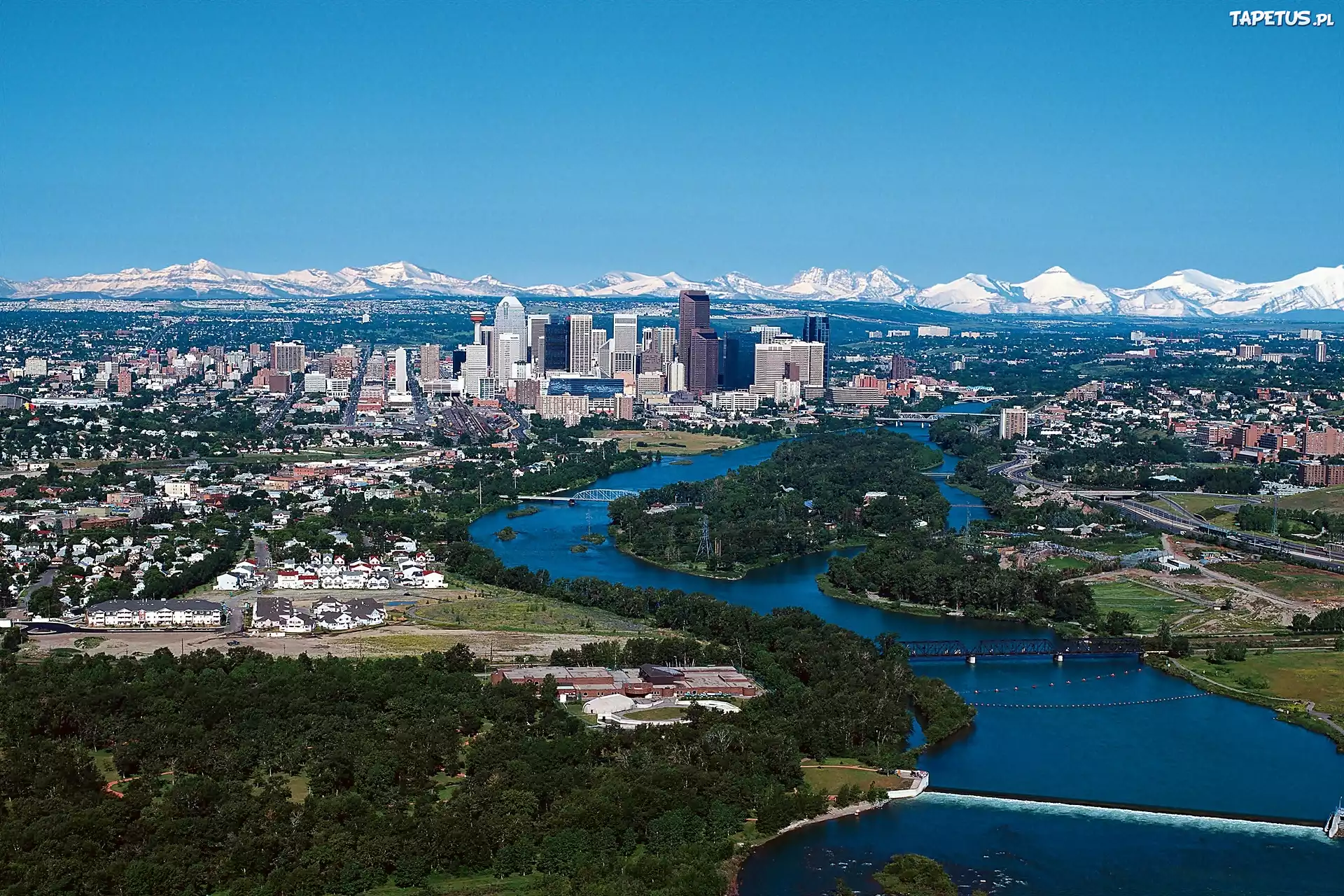 Calgary, Panorama, Miasta, Rzeka, Bow, Roślinność