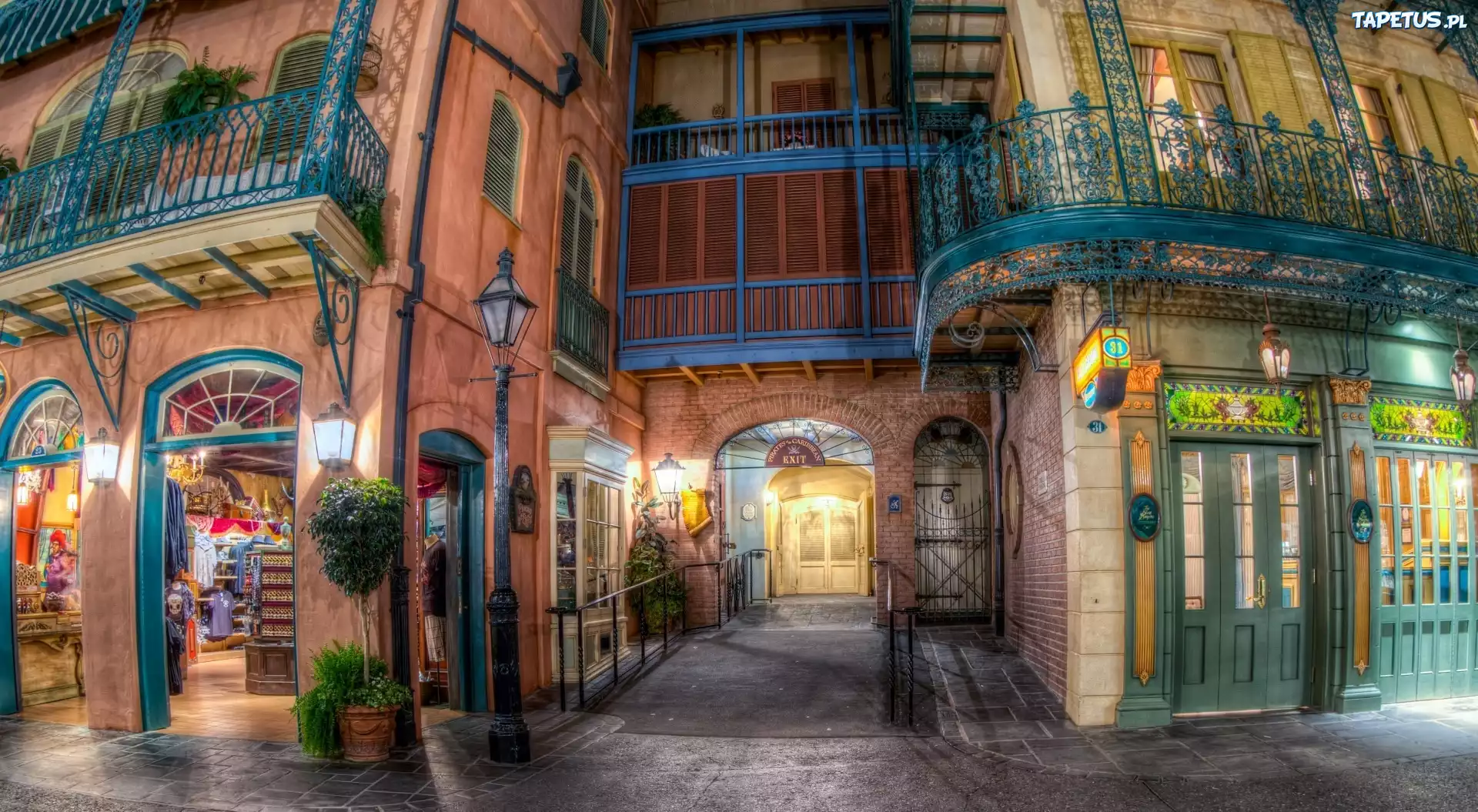 Dom, Disneyland