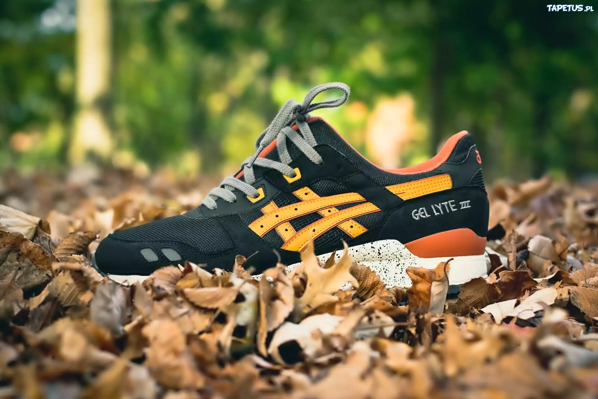 Żółte, Liście, But, Gel Lyte