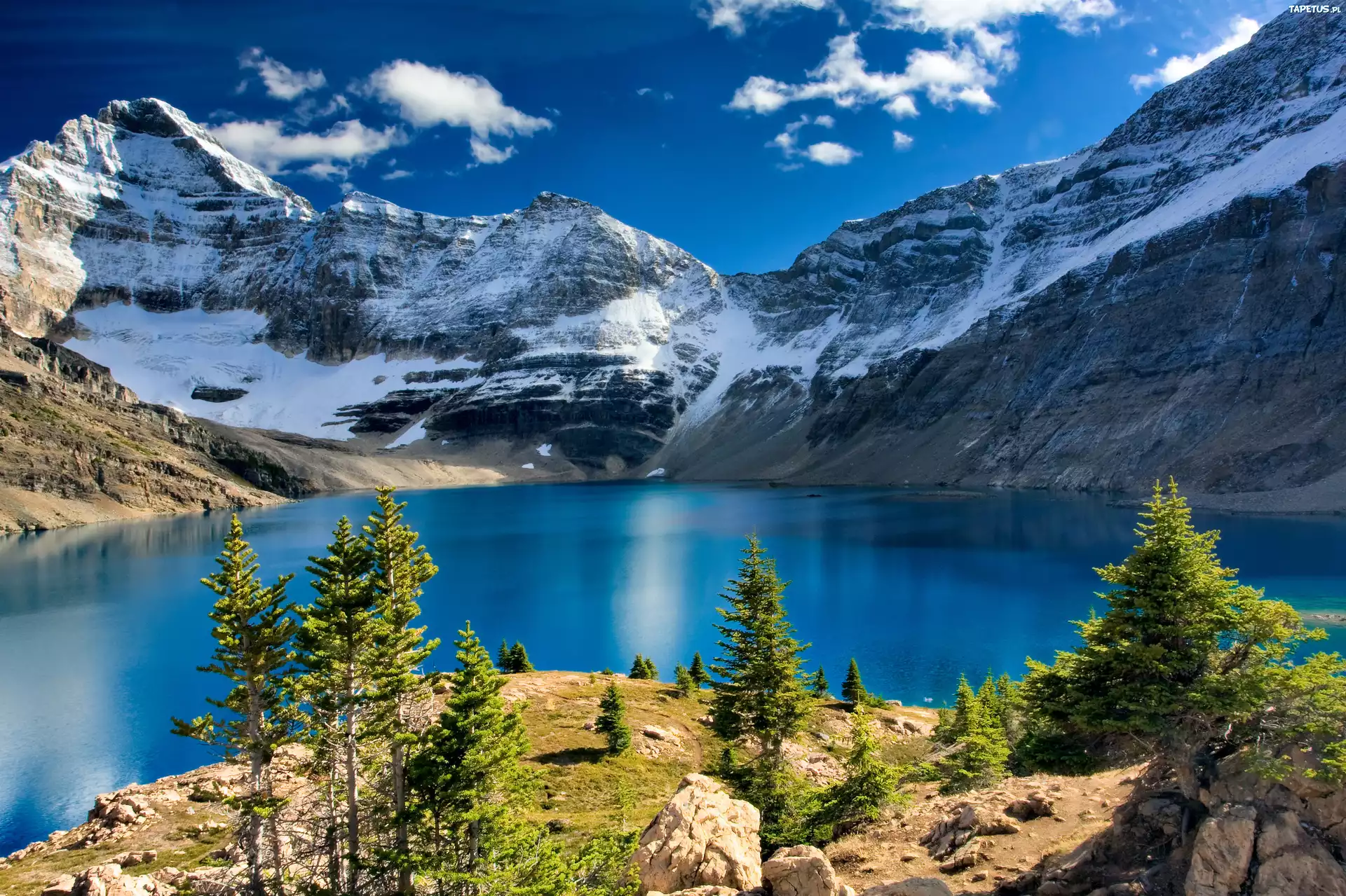 Góry, Jezioro, Świerki, Światło, Cień, Park Narodowy Yoho