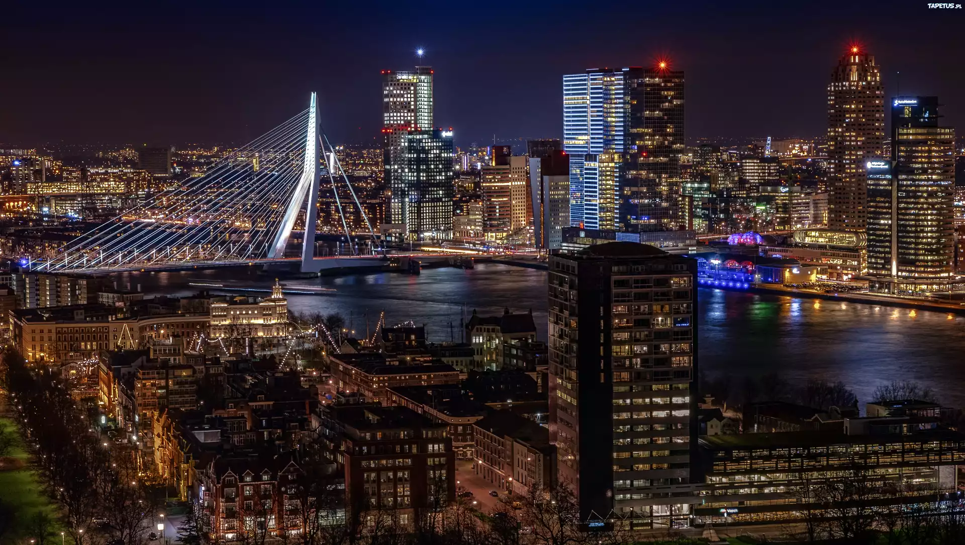 Rotterdam, Holandia, Europa