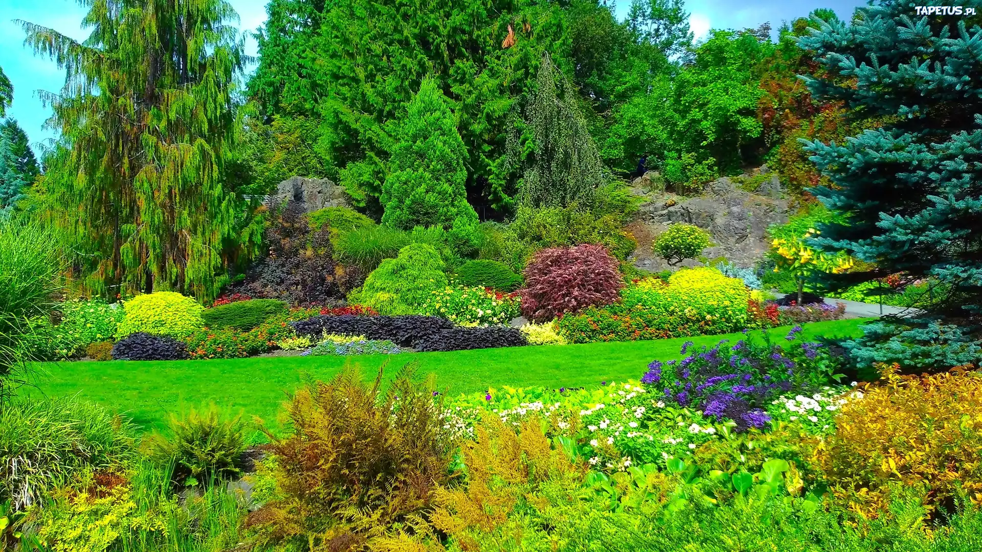 Queen Elizabeth, Park, Drzewa, Krzewy, Kwiaty, Vancouver, Kanada