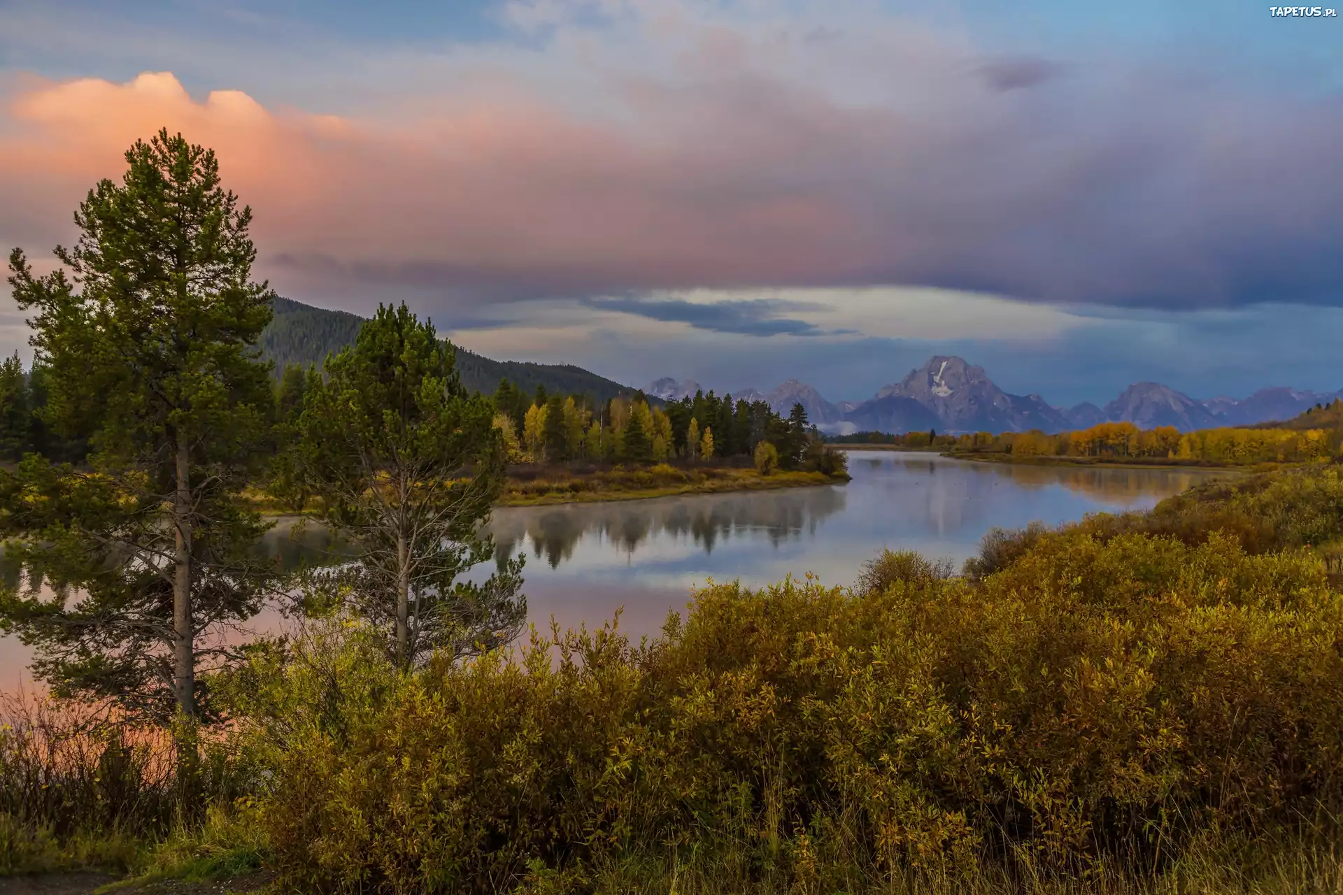 Góry, Rzeka, Las, Grand Teton, Wyoming