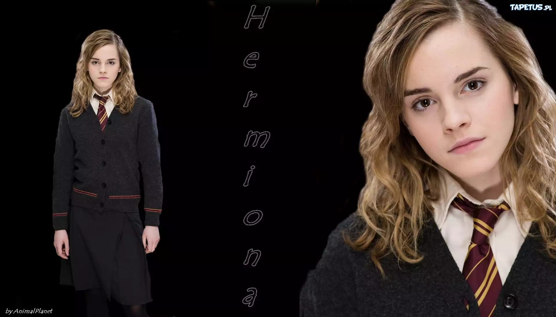 Kobieta, Aktorka, Emma, Watson, Film, Harry, Potter