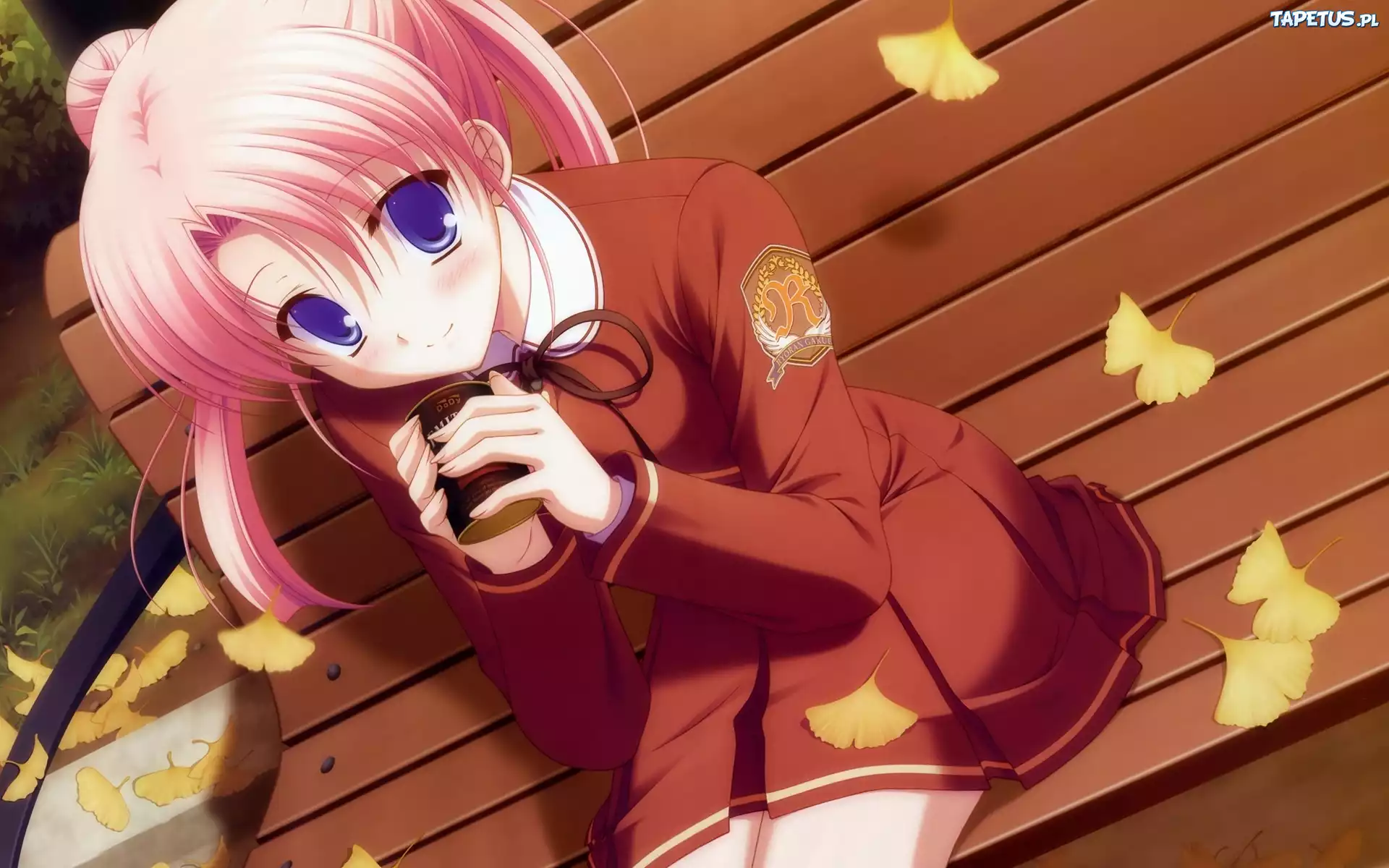 Dziewczyna, Kubek, Ławka, Liście, Jesień, Manga, Anime