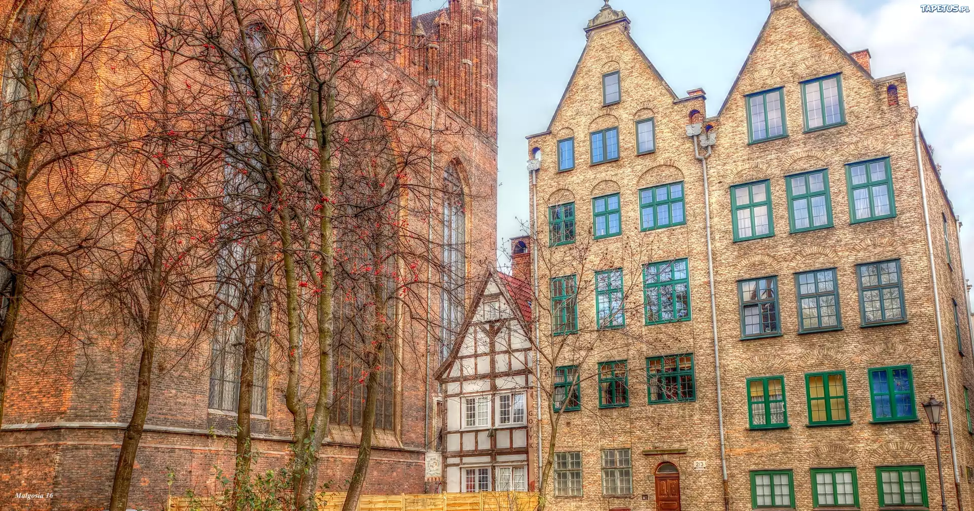 Gdańsk, Kościół, Kamieniczki, Drzewa, HDR