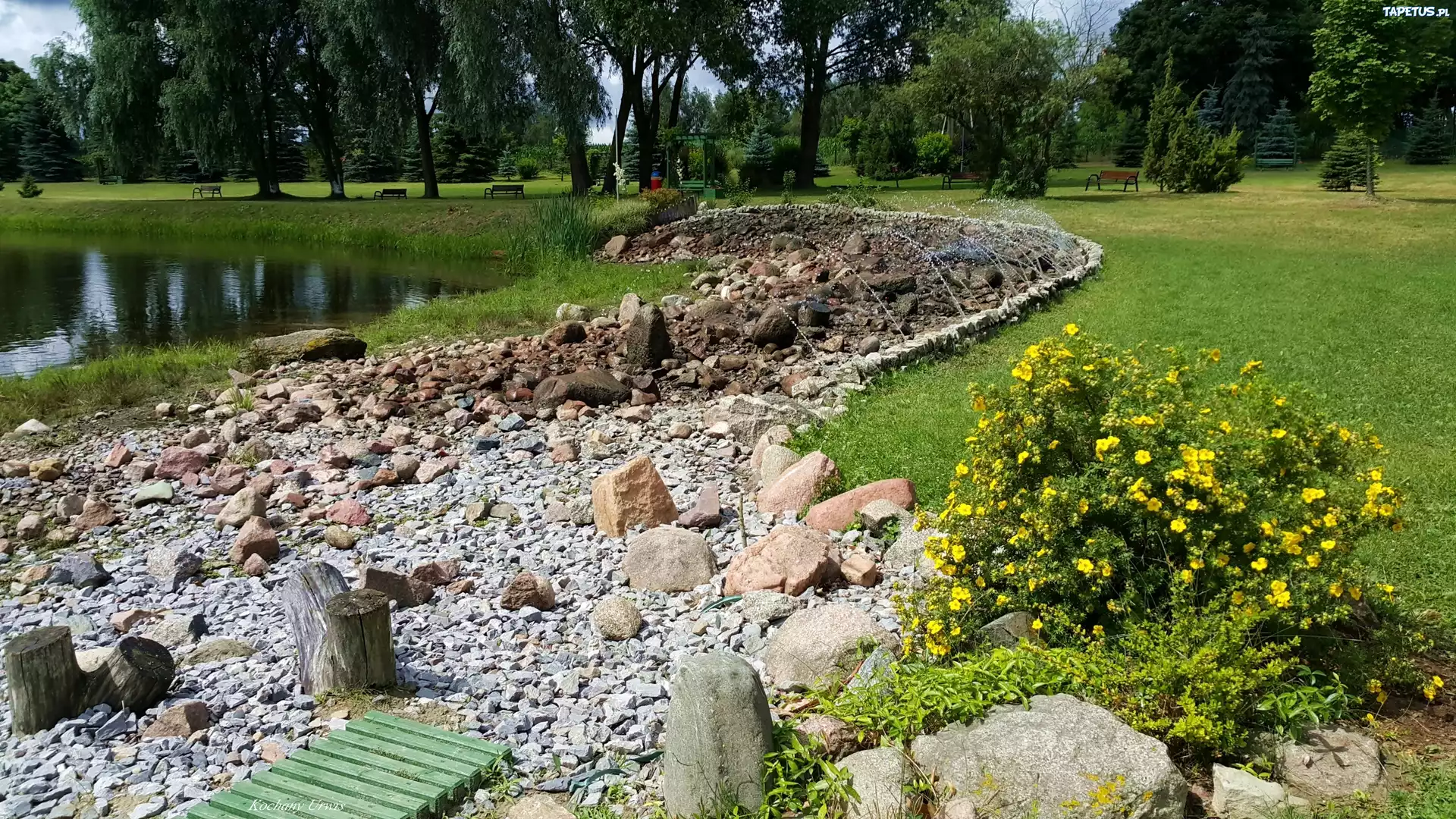 Park, Staw, Kamienie, Ławki, Kwiaty