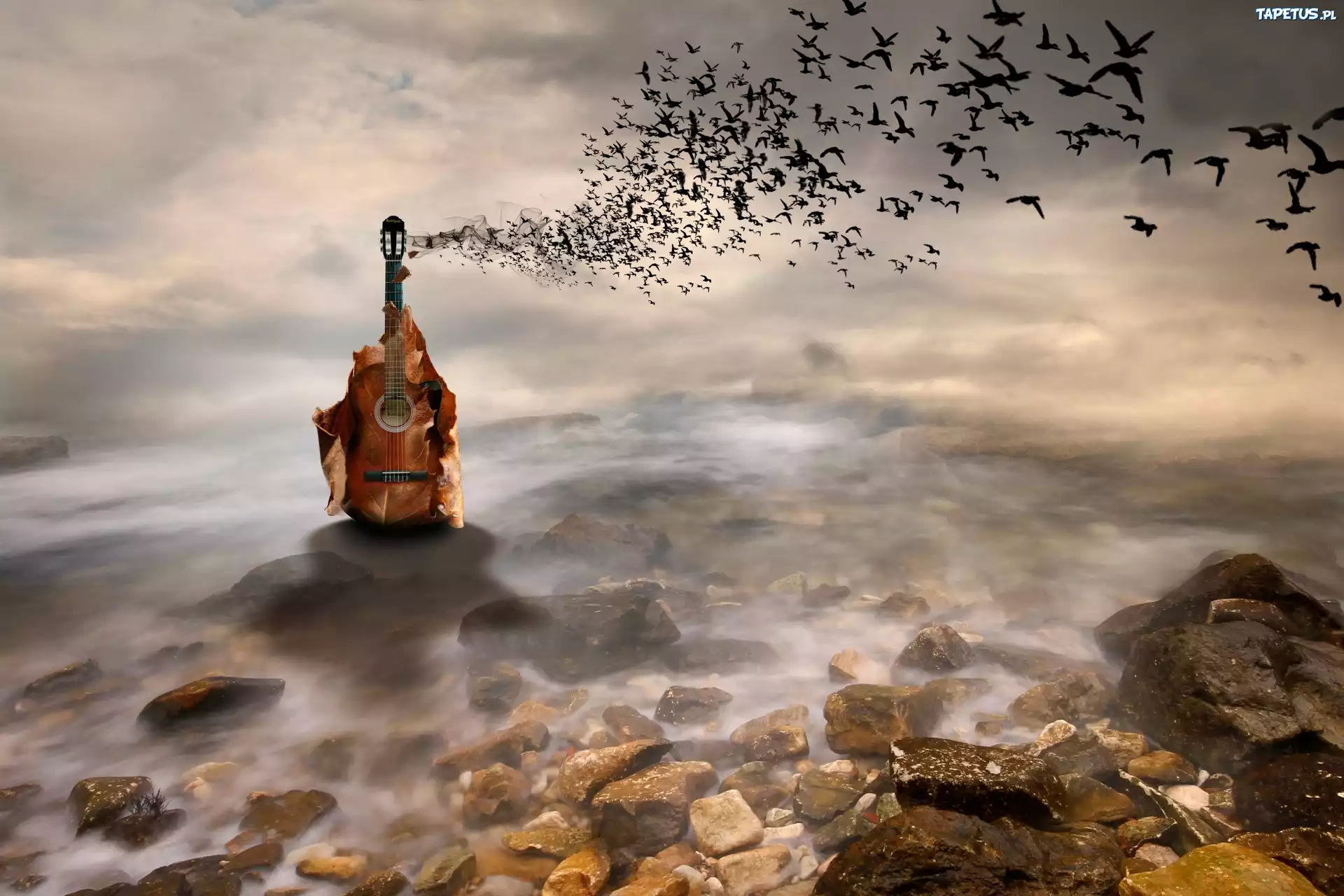 Fantasy, Gitara, Morze, Kamienie, Ptaki