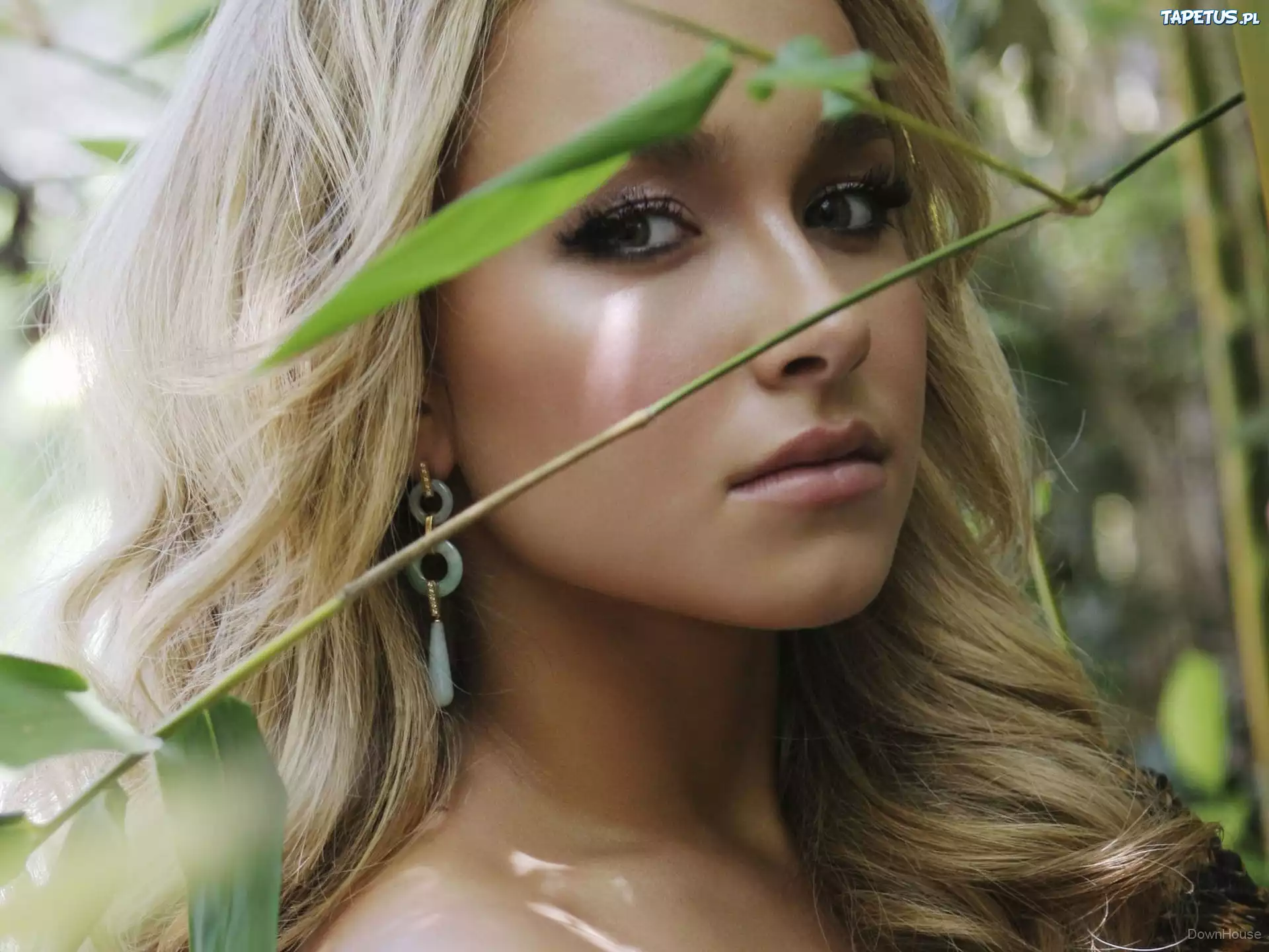 Kobieta, Blondynka, Hayden Panettiere, Kolczyki, Makijaż, Źdźbło, Trawy