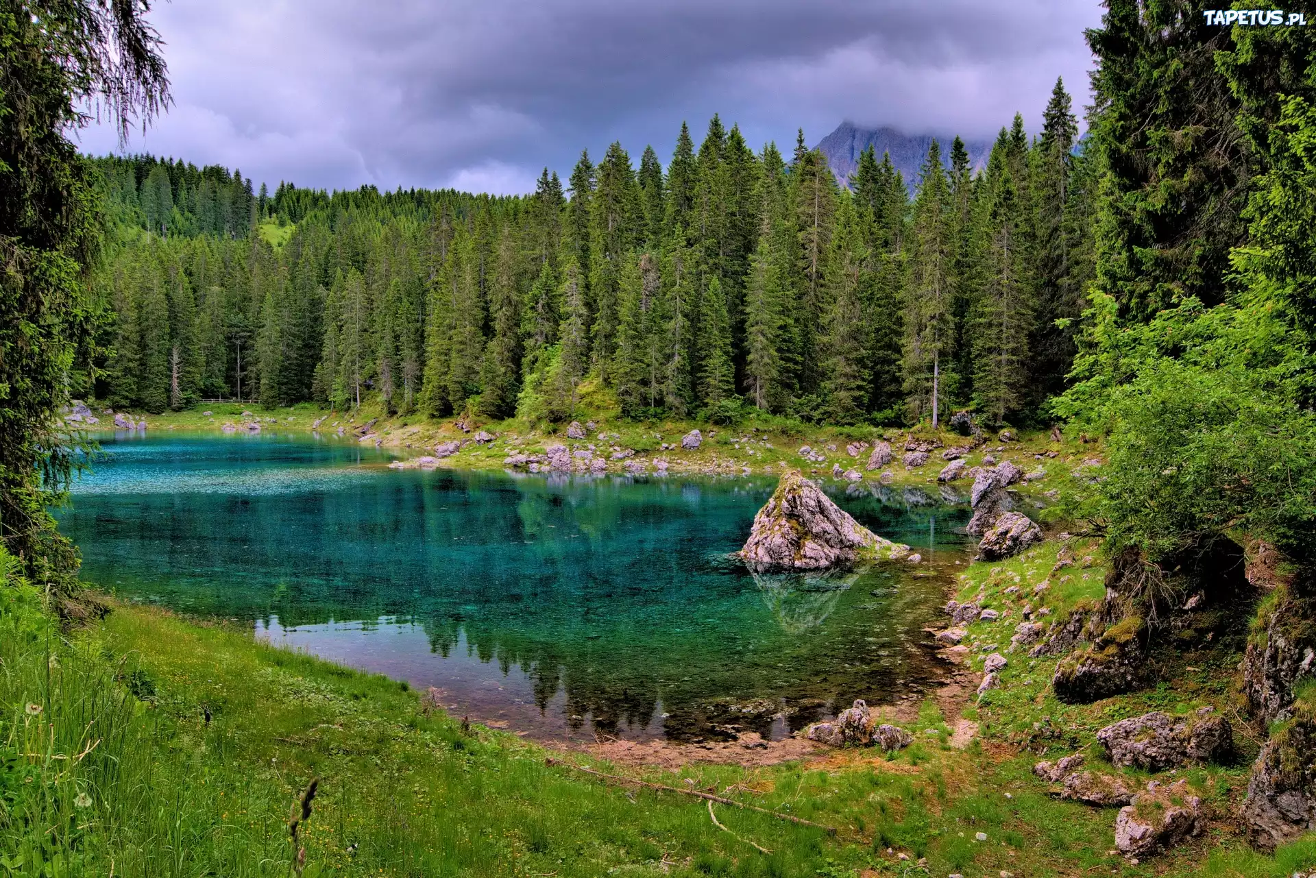 Jezioro, Kamienie, Drzewa, Trawa