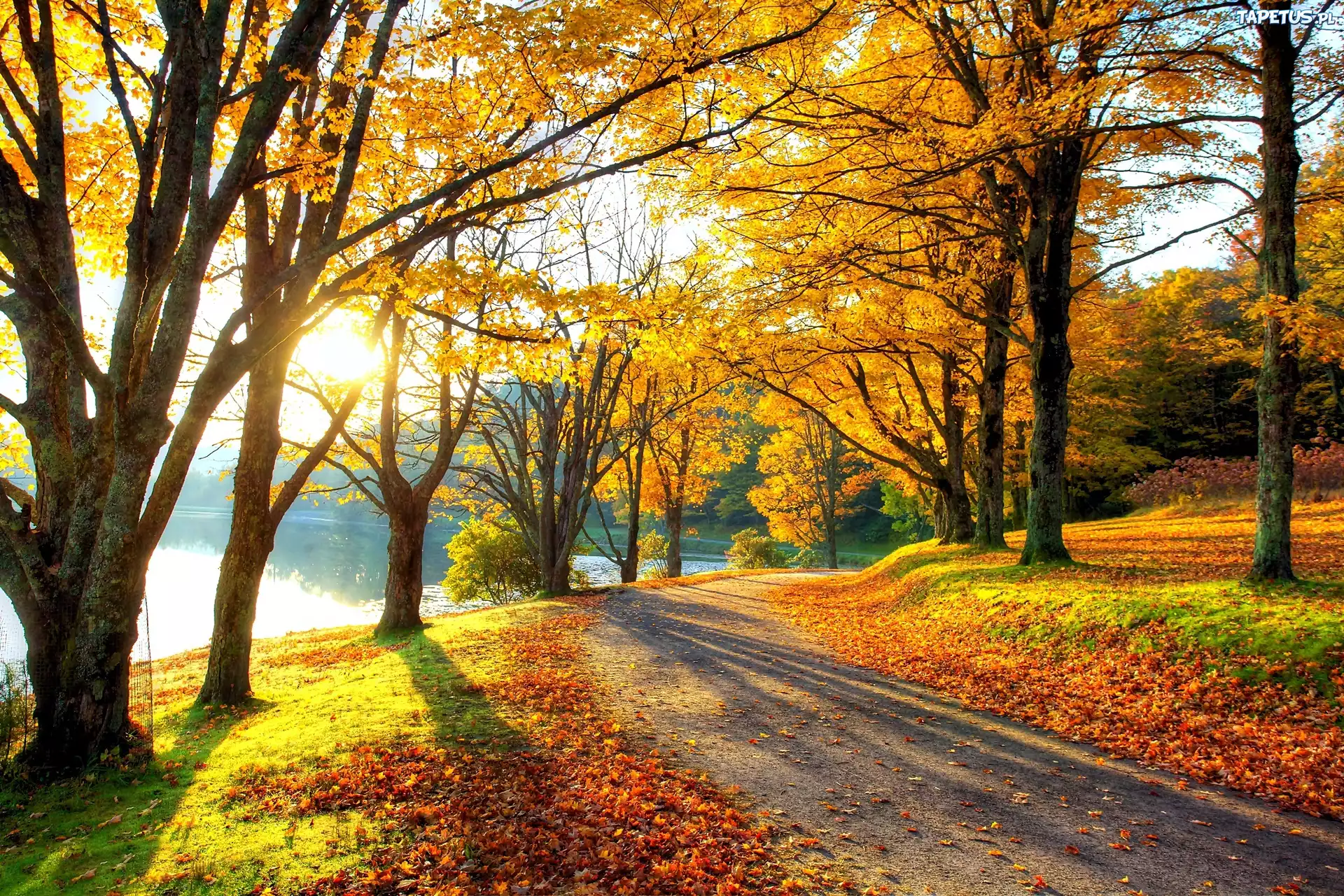Park, Droga, Jezioro