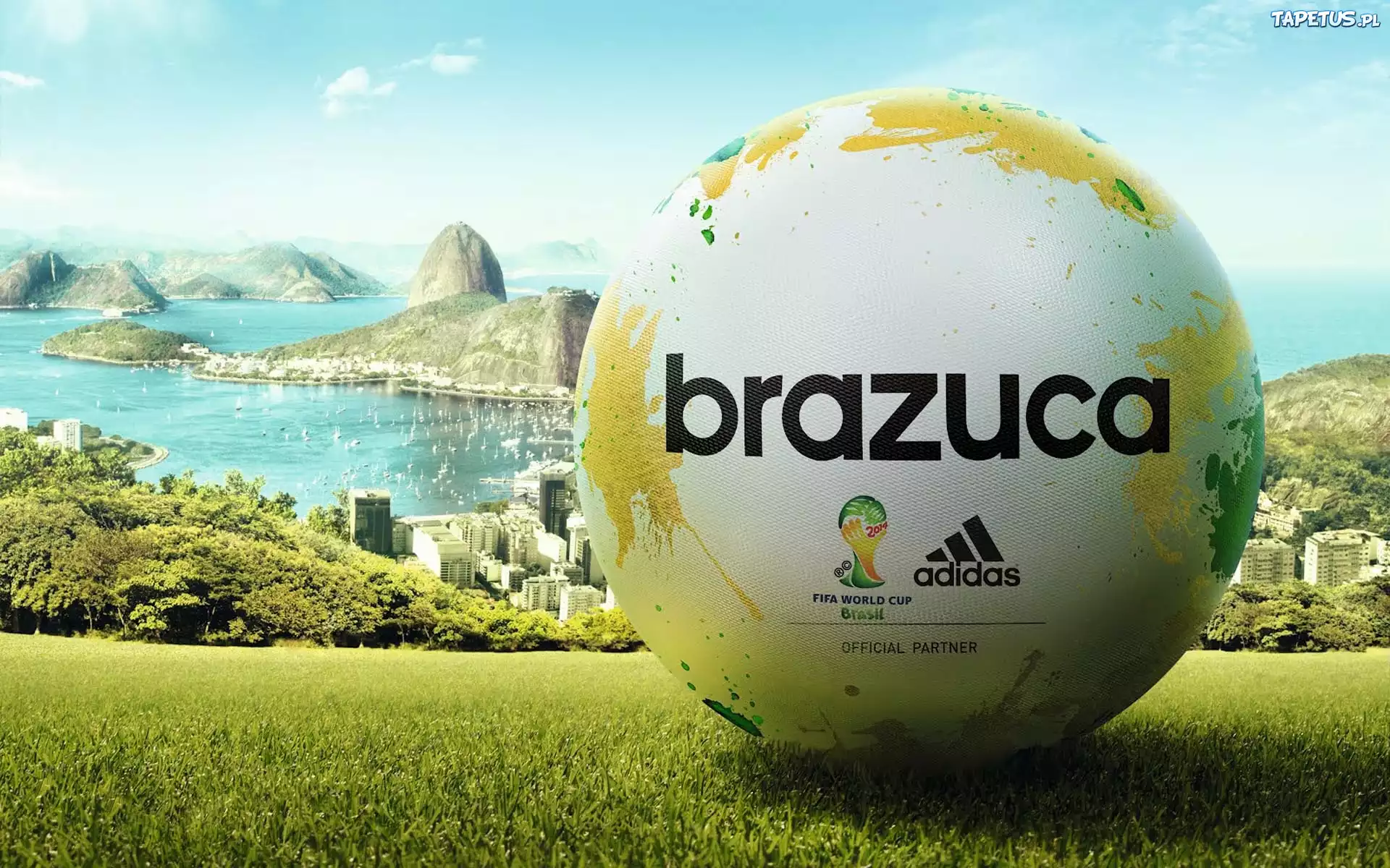Brazuca, Fifa 2014, Oficjalna, Piłka