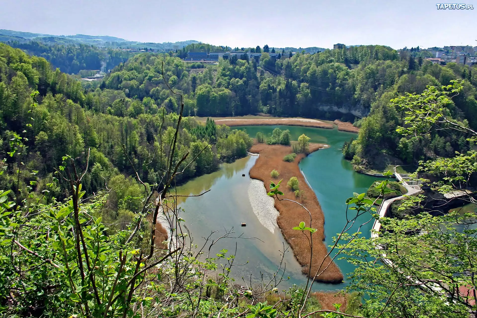 Rzeka, Sarine, Lasy, Fryburg