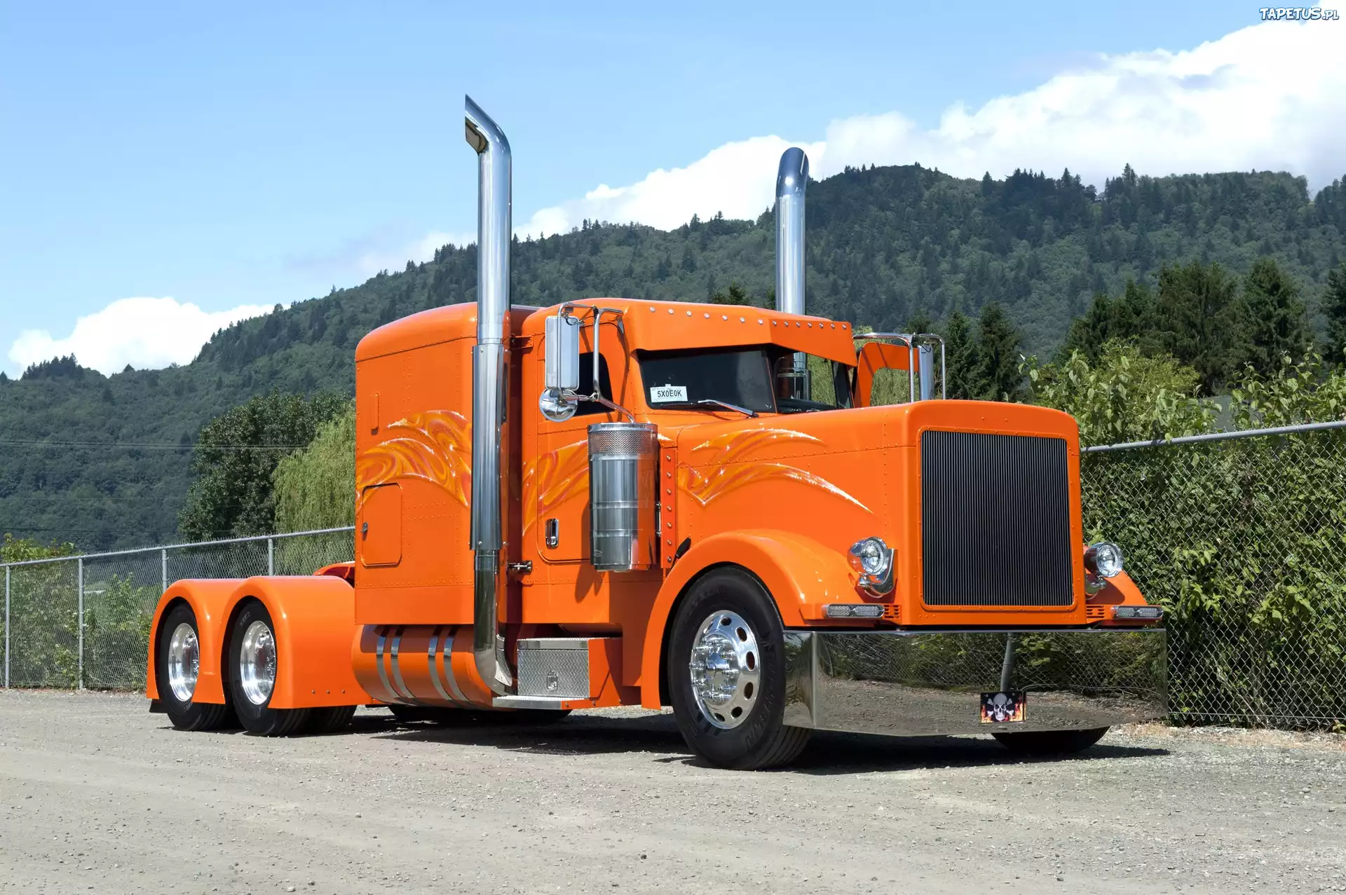 Ciężarówka, Peterbilt 379
