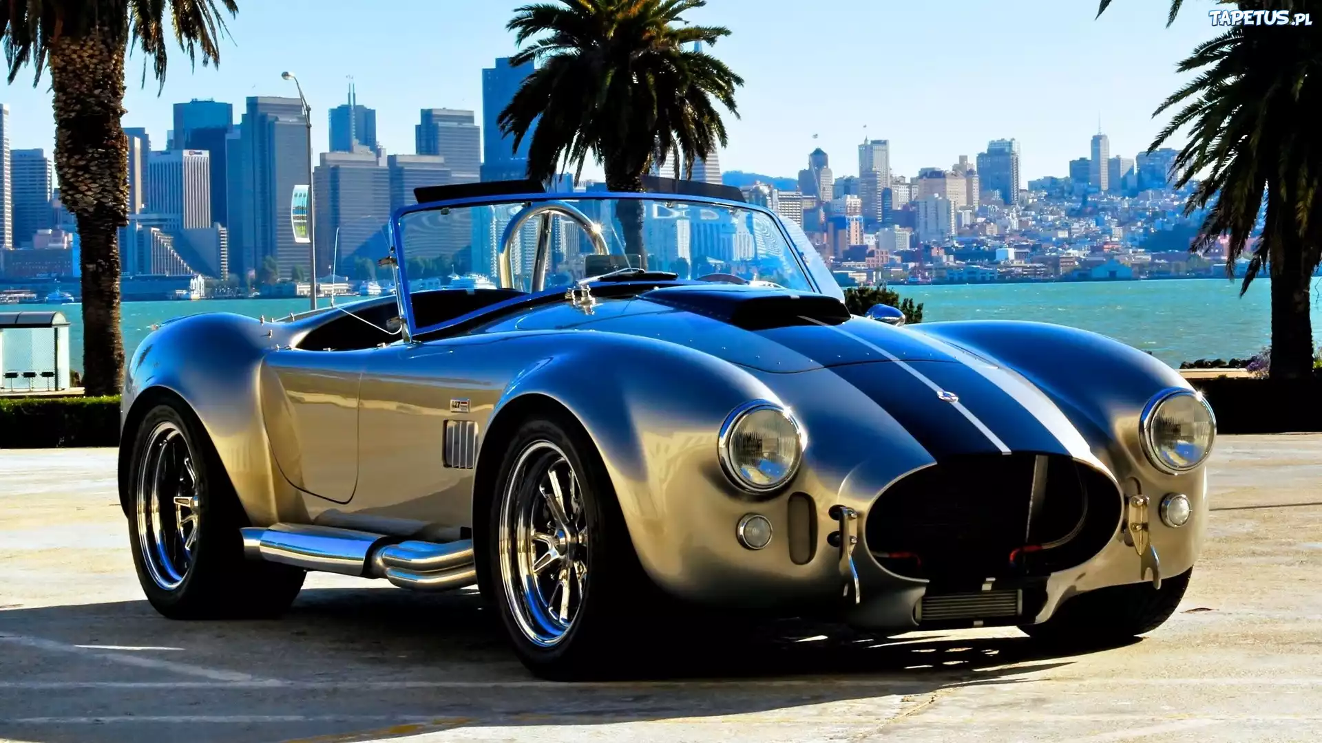 Shelby, Cobra, Zabytkowy, Tuningowane