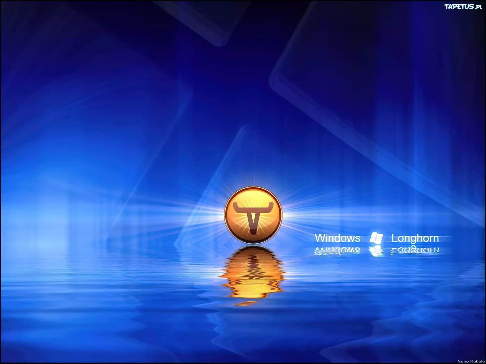 logo, grafika, Longhorn