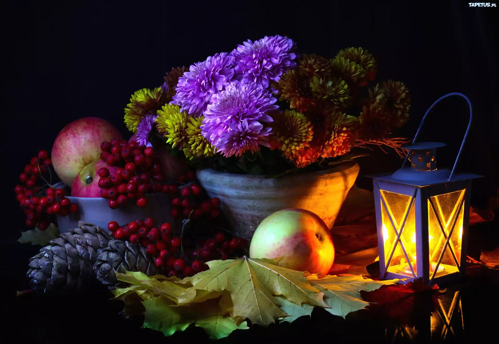 Kompozycja, Lampion, Astry, Jabłka, Liście, Jarzębina, Szyszki