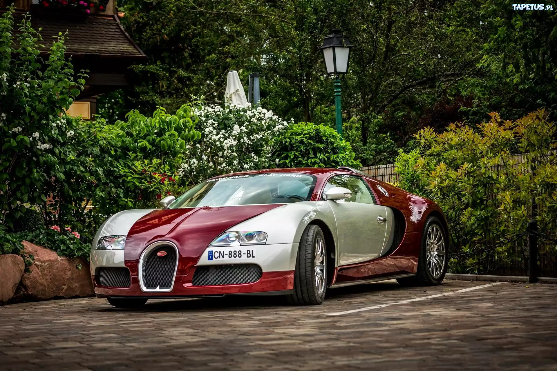 Bugatti Veyron, Auto, Posesja, Dom