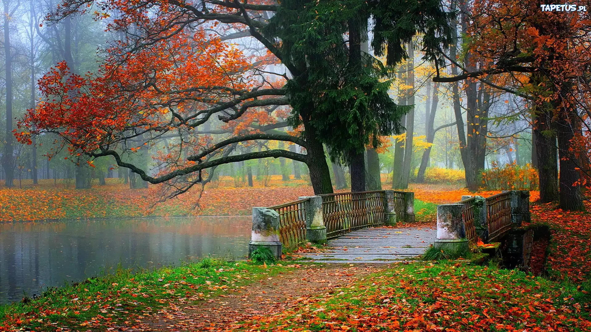 Mostek, rzeka, Park, Jesień