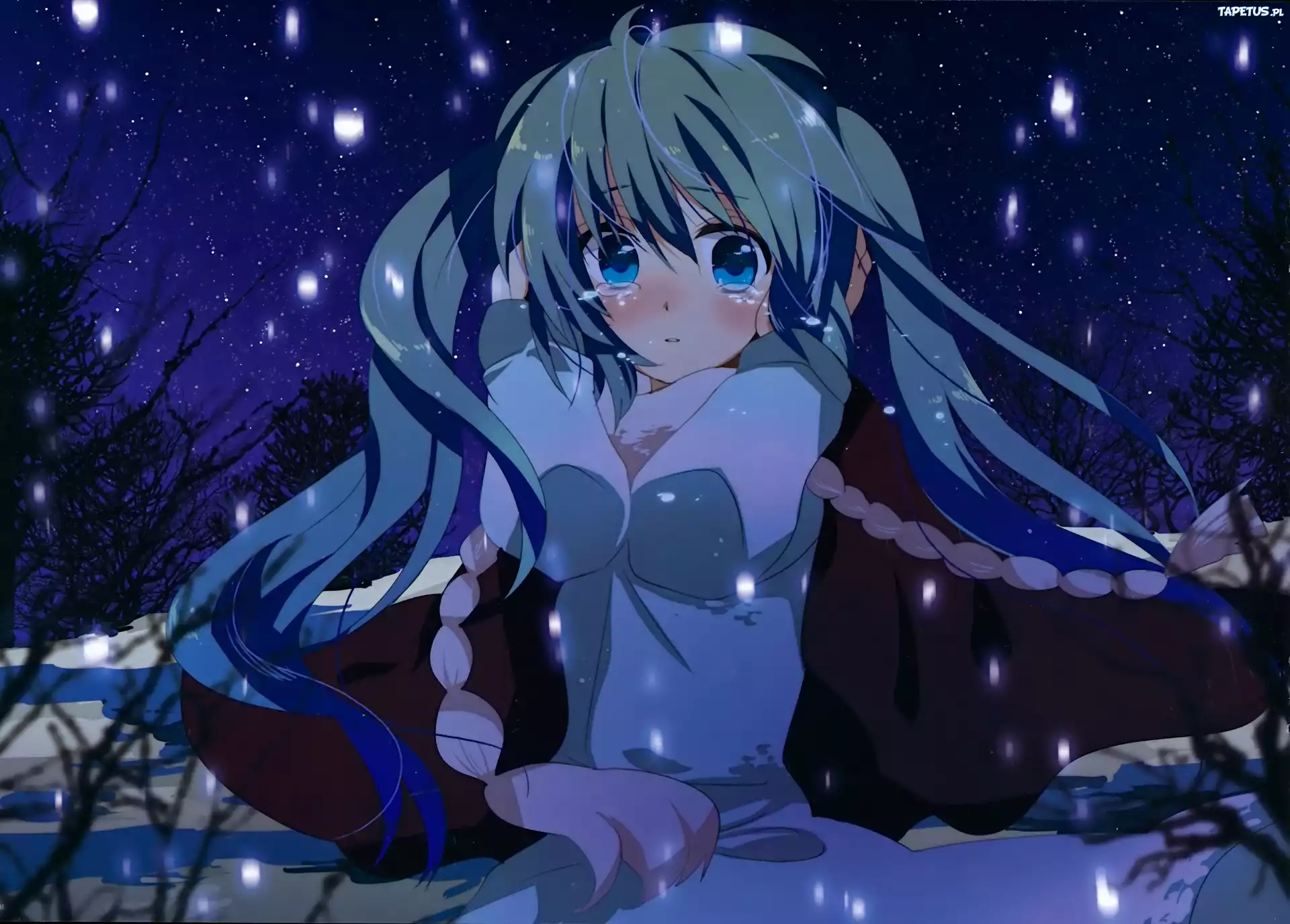 Vocaloid, Hatsune Miku